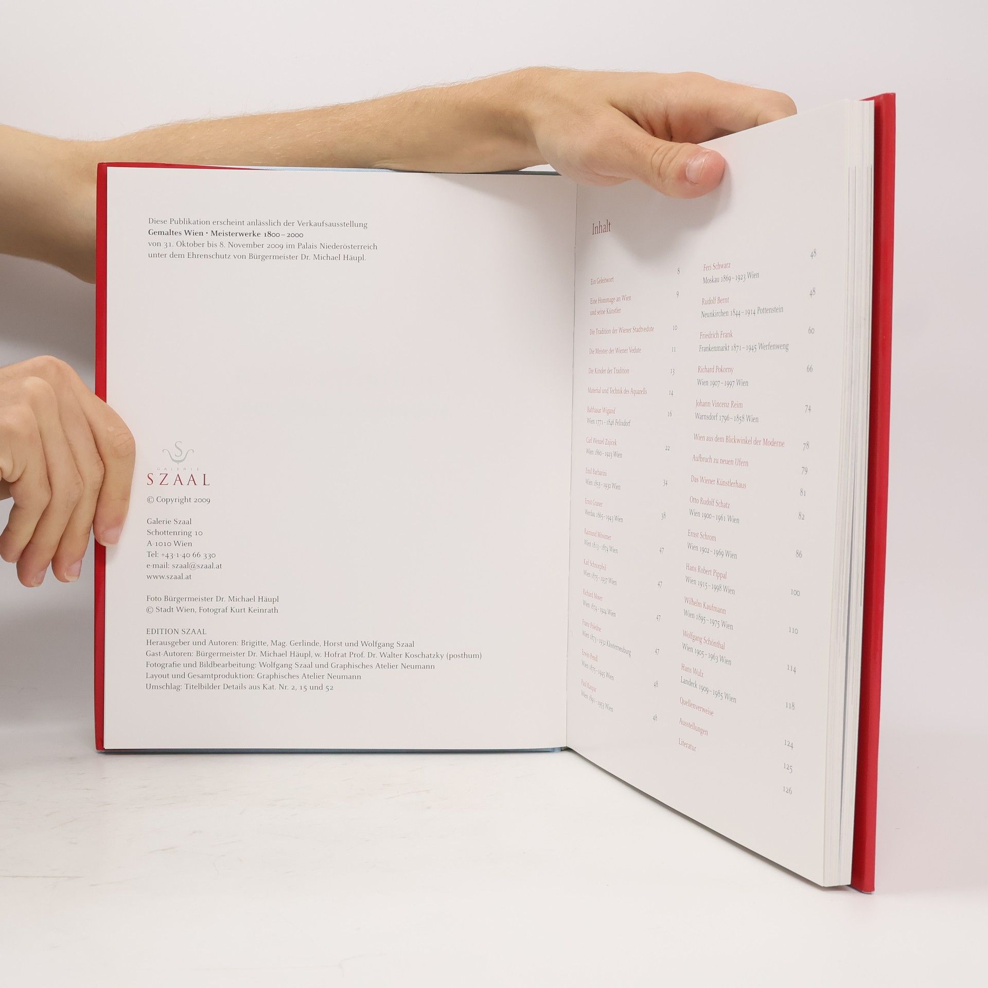 Autorenkollektiv Gemaltes Wien