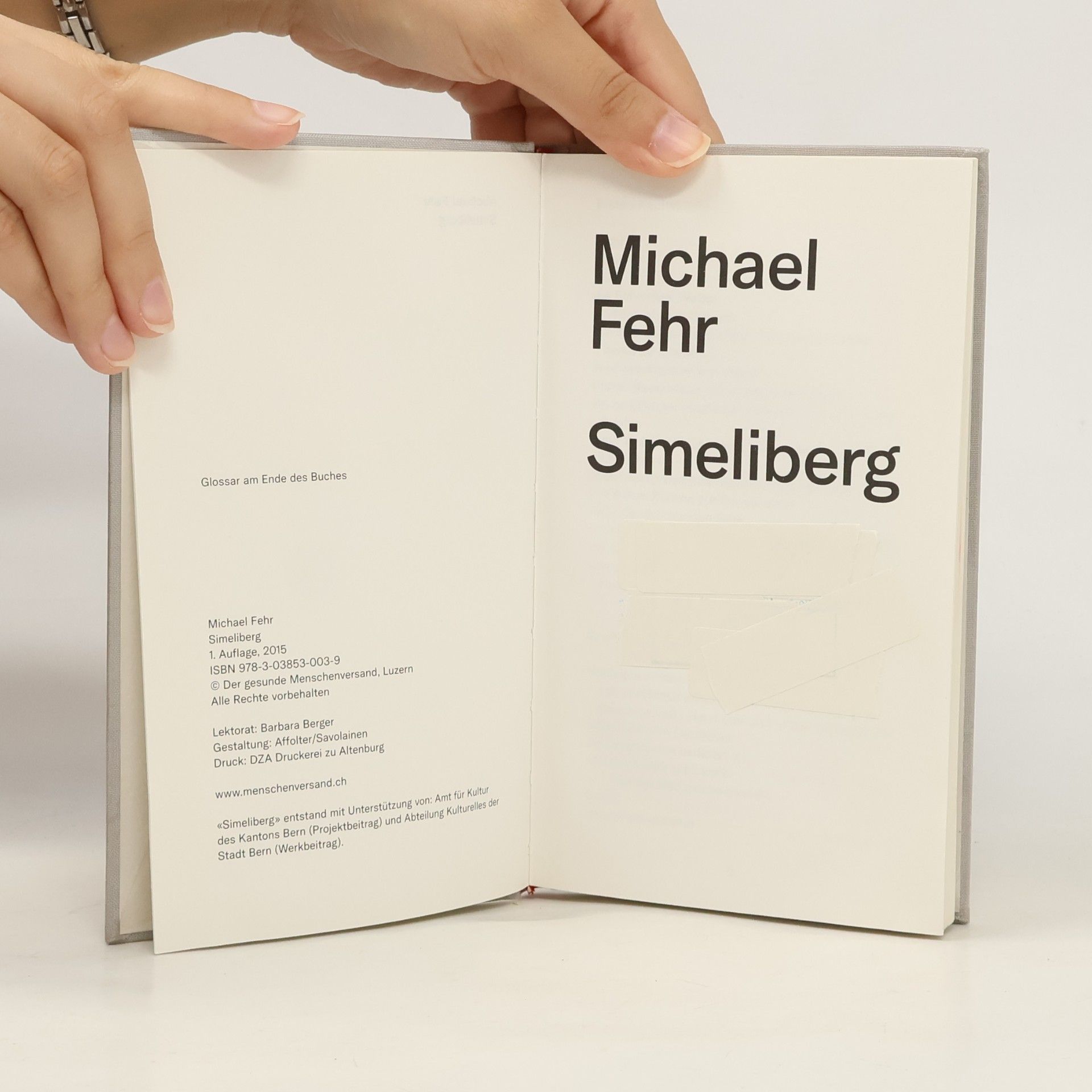 Michael Fehr Simeliberg