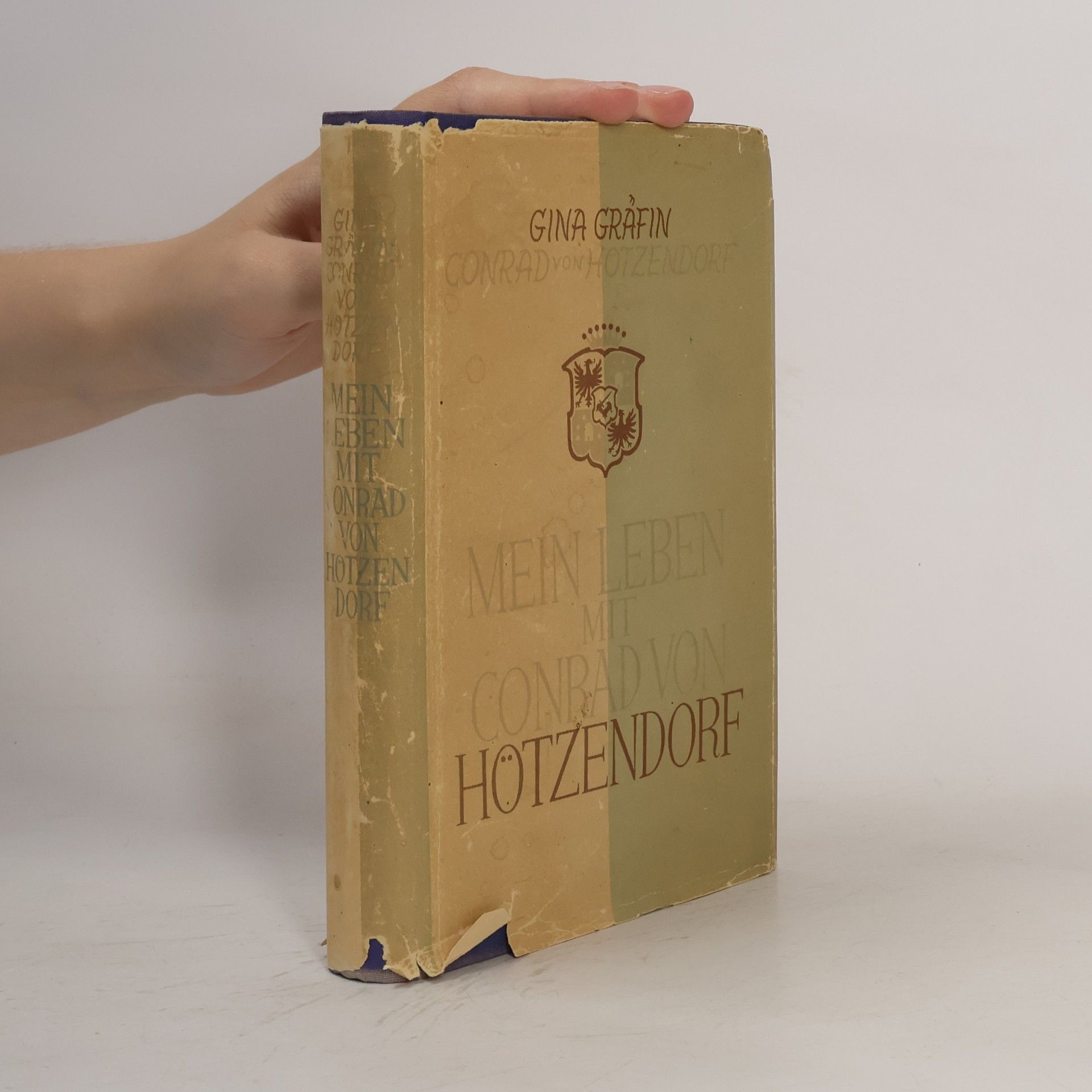 Gina Gräfin Konrad von Hötzendorf Mein Leben mit Conrad von Hötzendorf