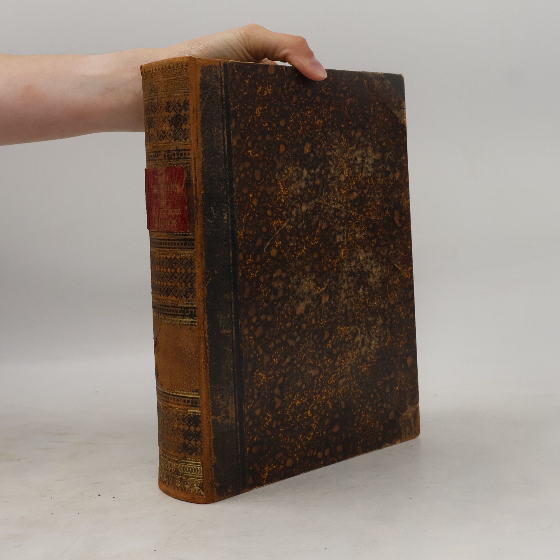 Die heiligen Schriften des alten Testamentes I.