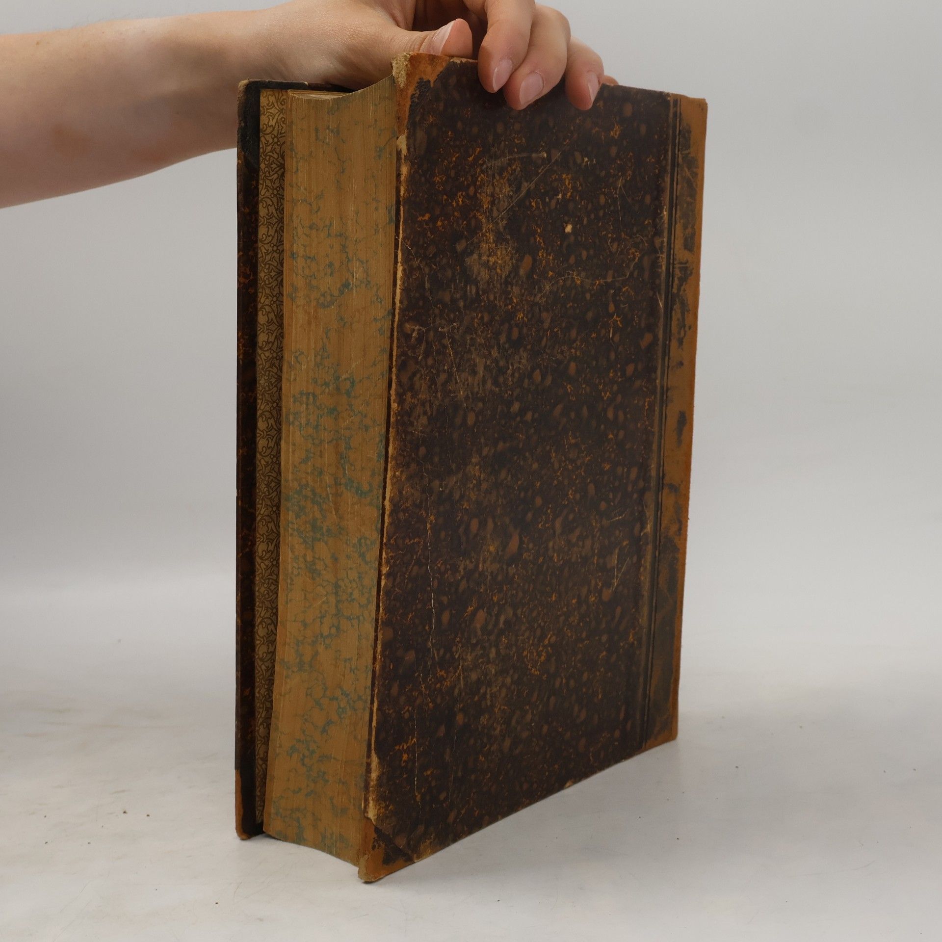 Valentin Loch Die heiligen Schriften des alten Testamentes I.