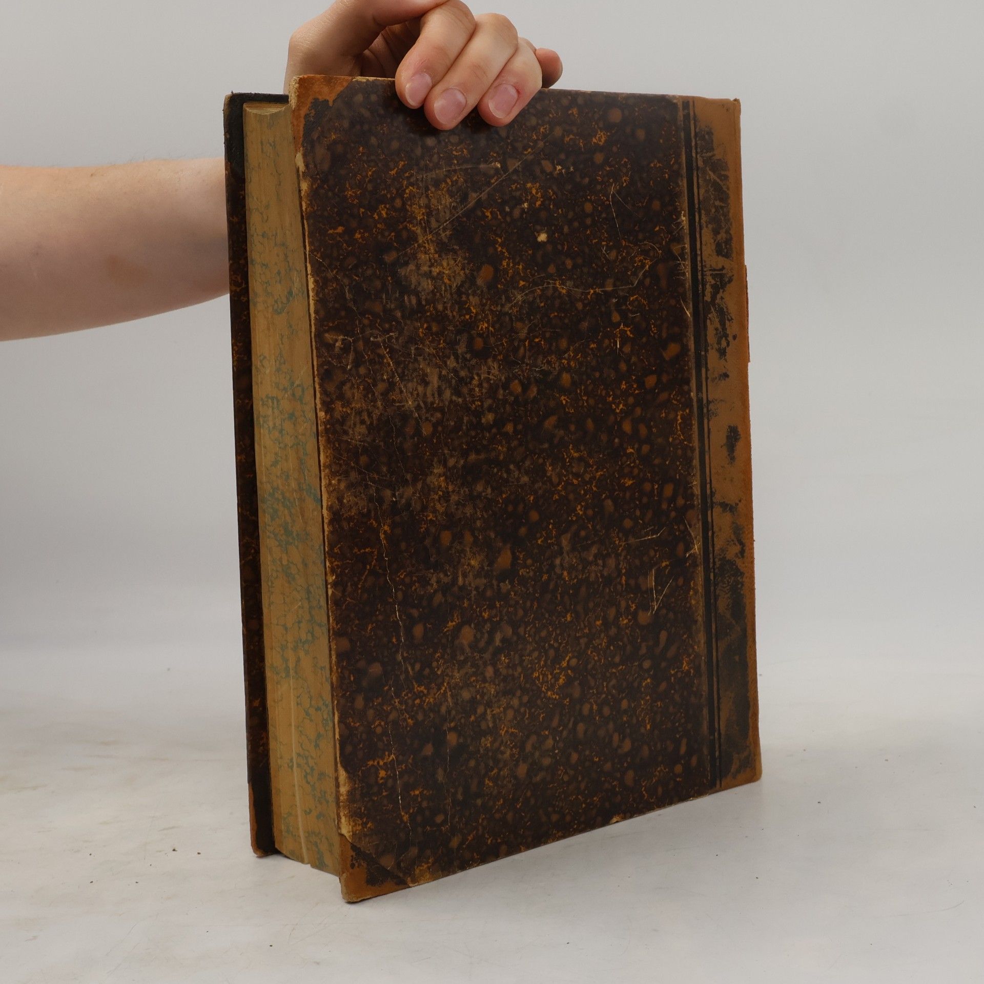 Valentin Loch Die heiligen Schriften des alten Testamentes I.