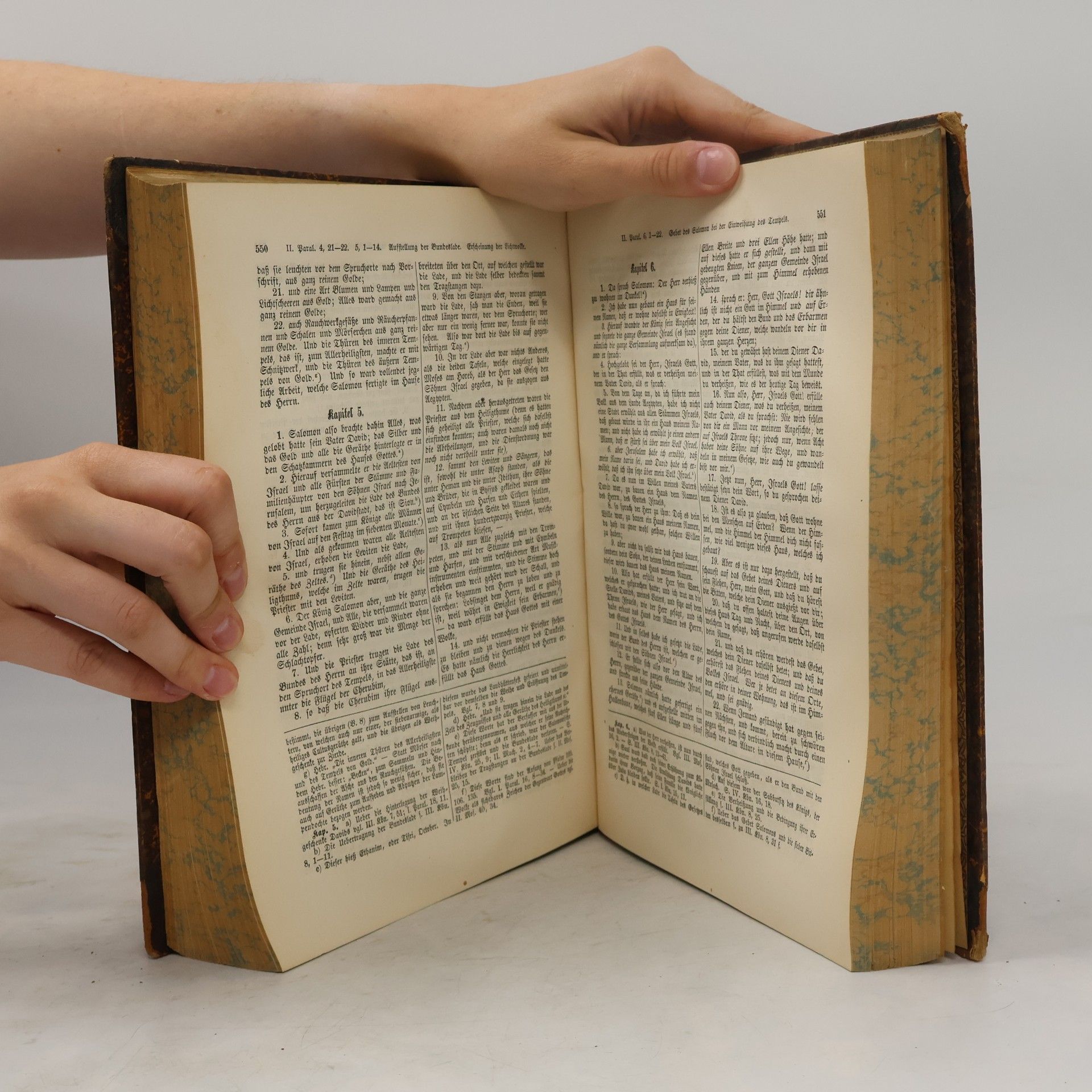Valentin Loch Die heiligen Schriften des alten Testamentes I.