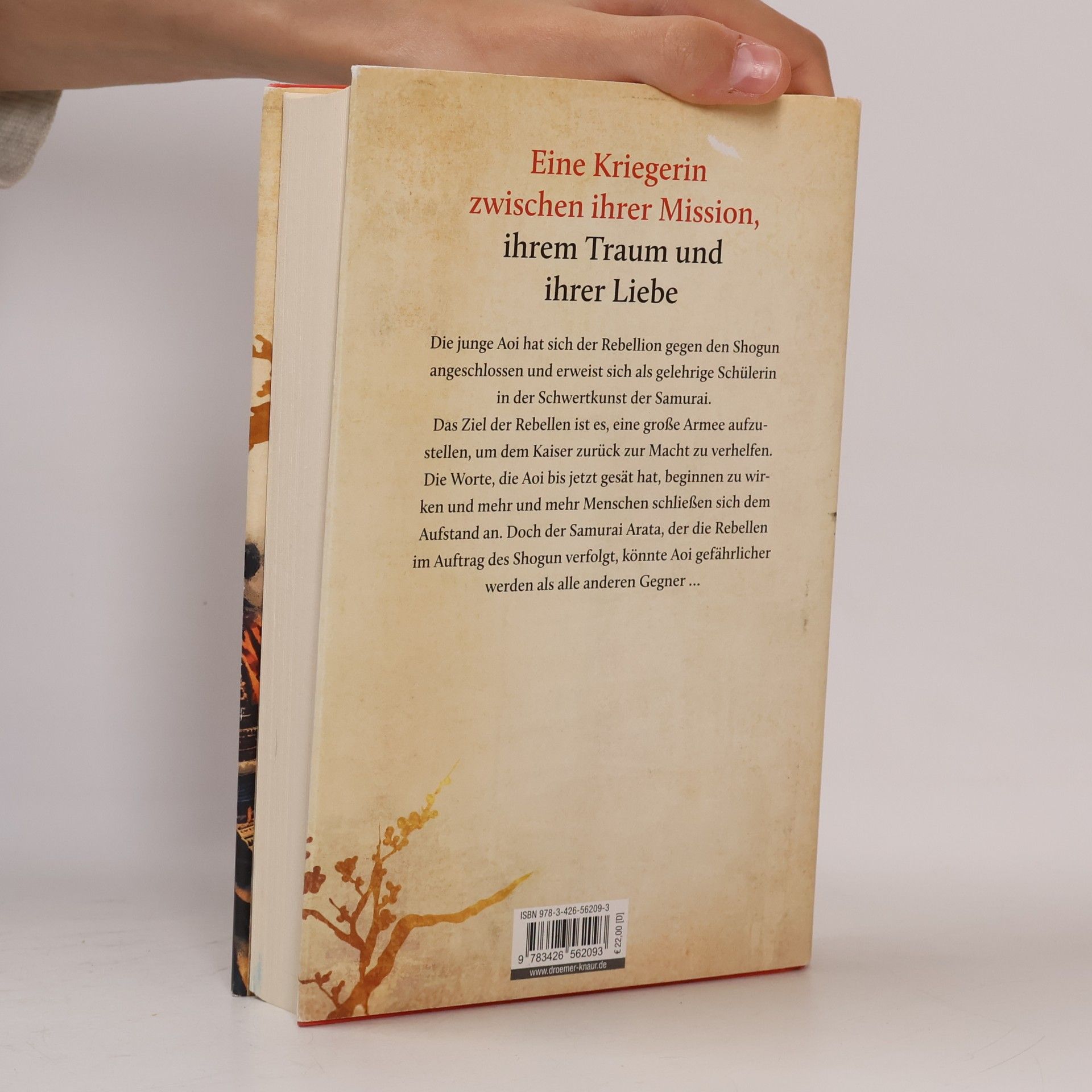 Christian Gerhard Shinwa. Das Echo der Worte