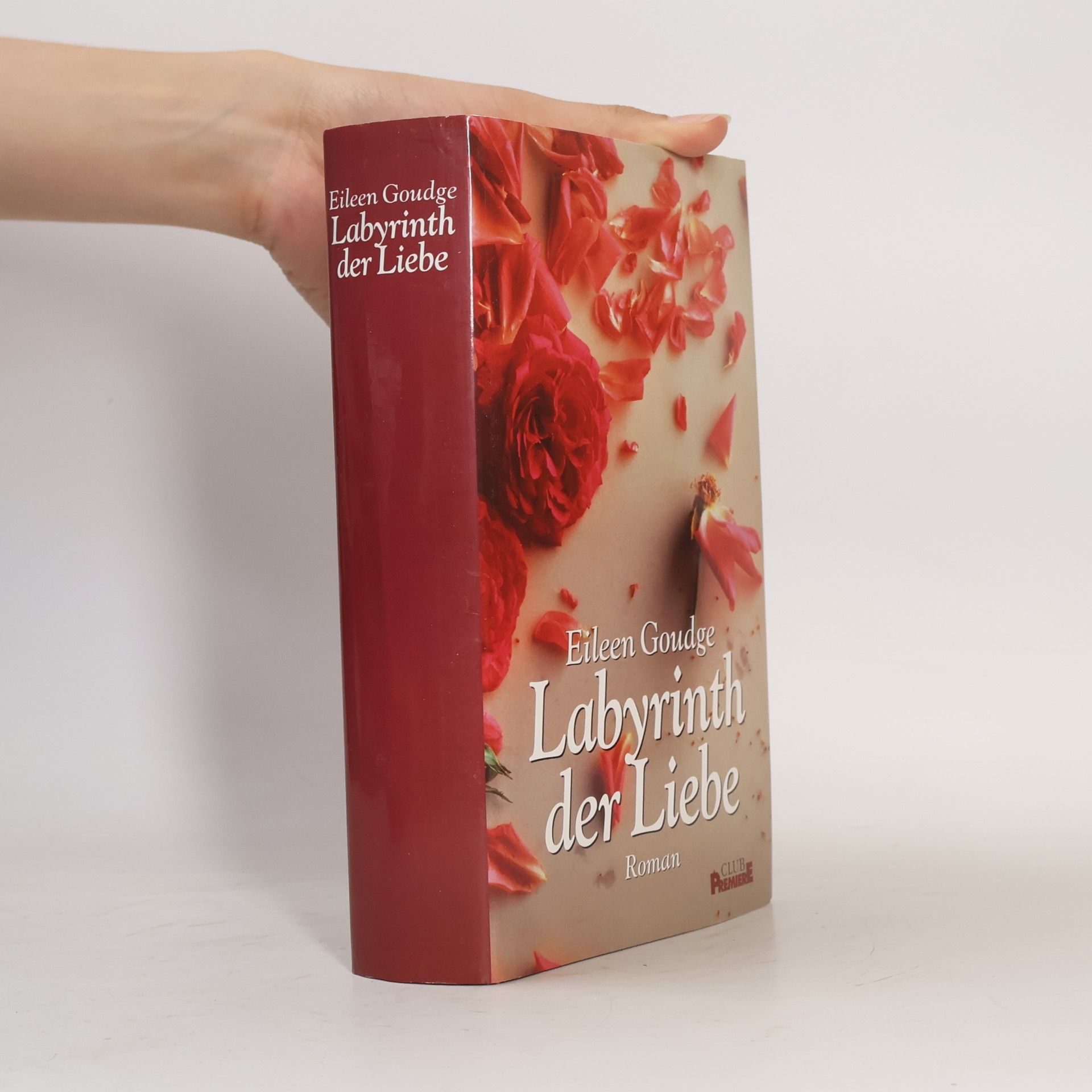 Eileen Goudge Labyrinth der Liebe