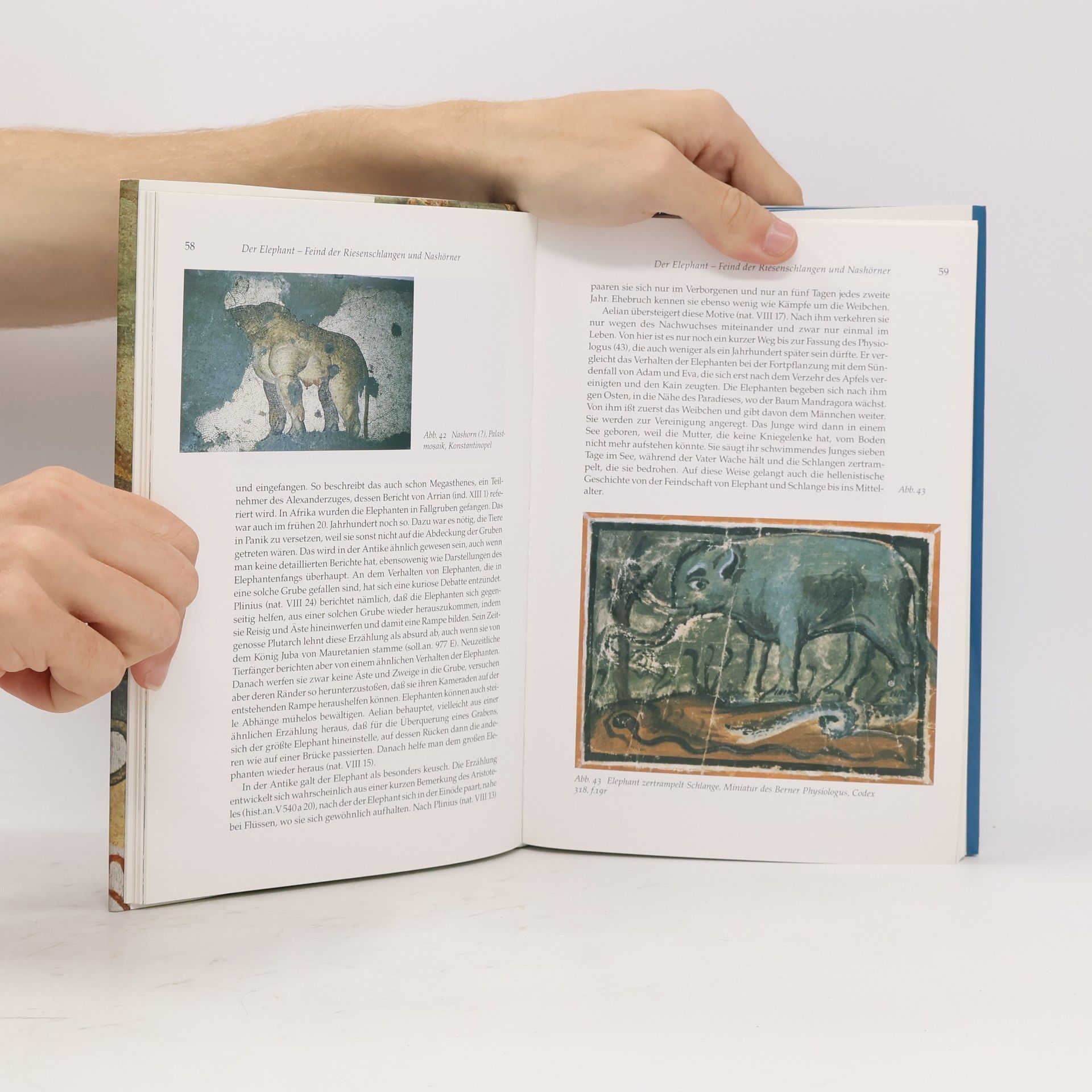 Harald Mielsch Griechische Tiergeschichten in der antiken Kunst