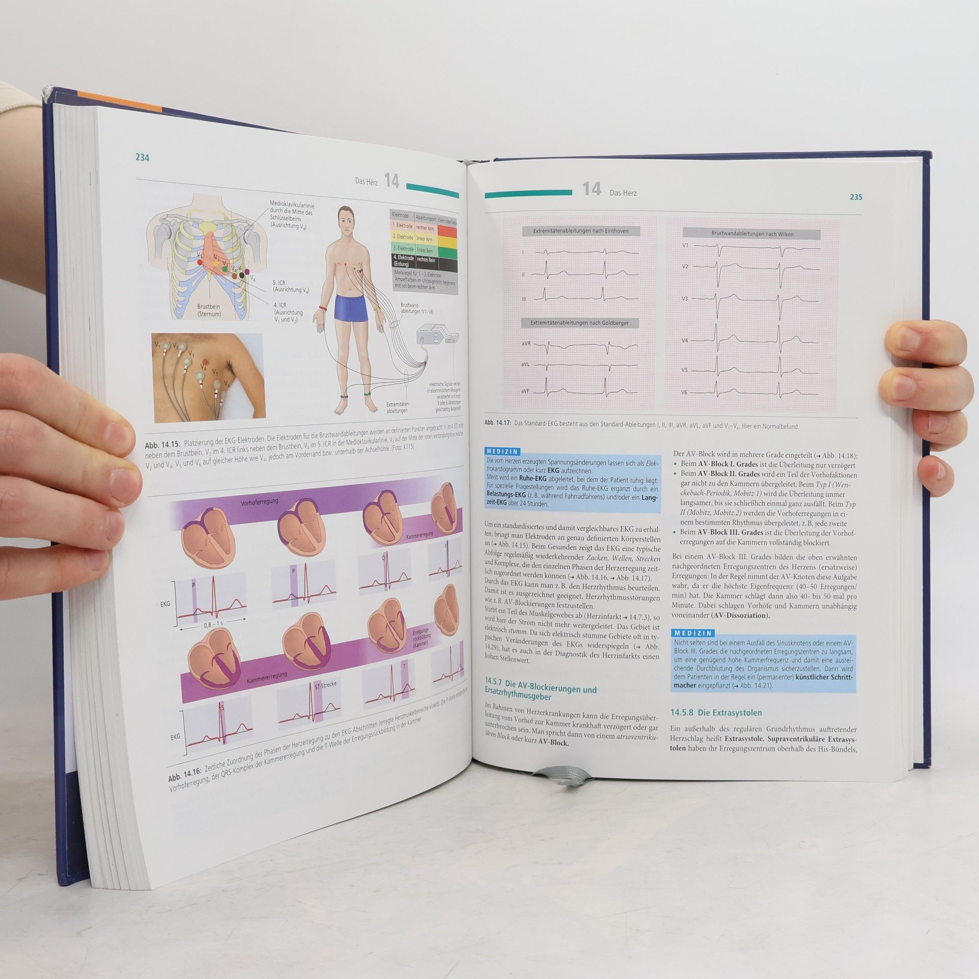 Nicole Menche Biologie, Anatomie, Physiologie