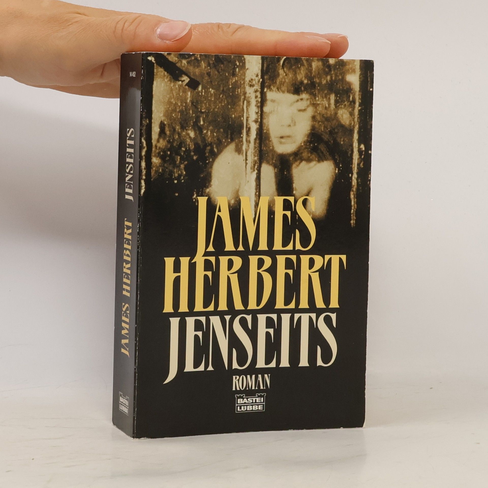 James Herbert Jenseits