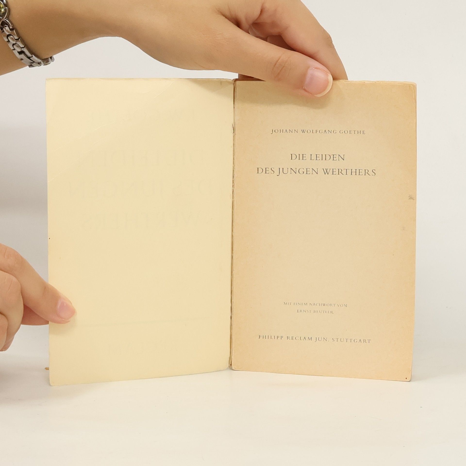 Johann Wolfgang von Goethe Die Leiden des jungen Werthers
