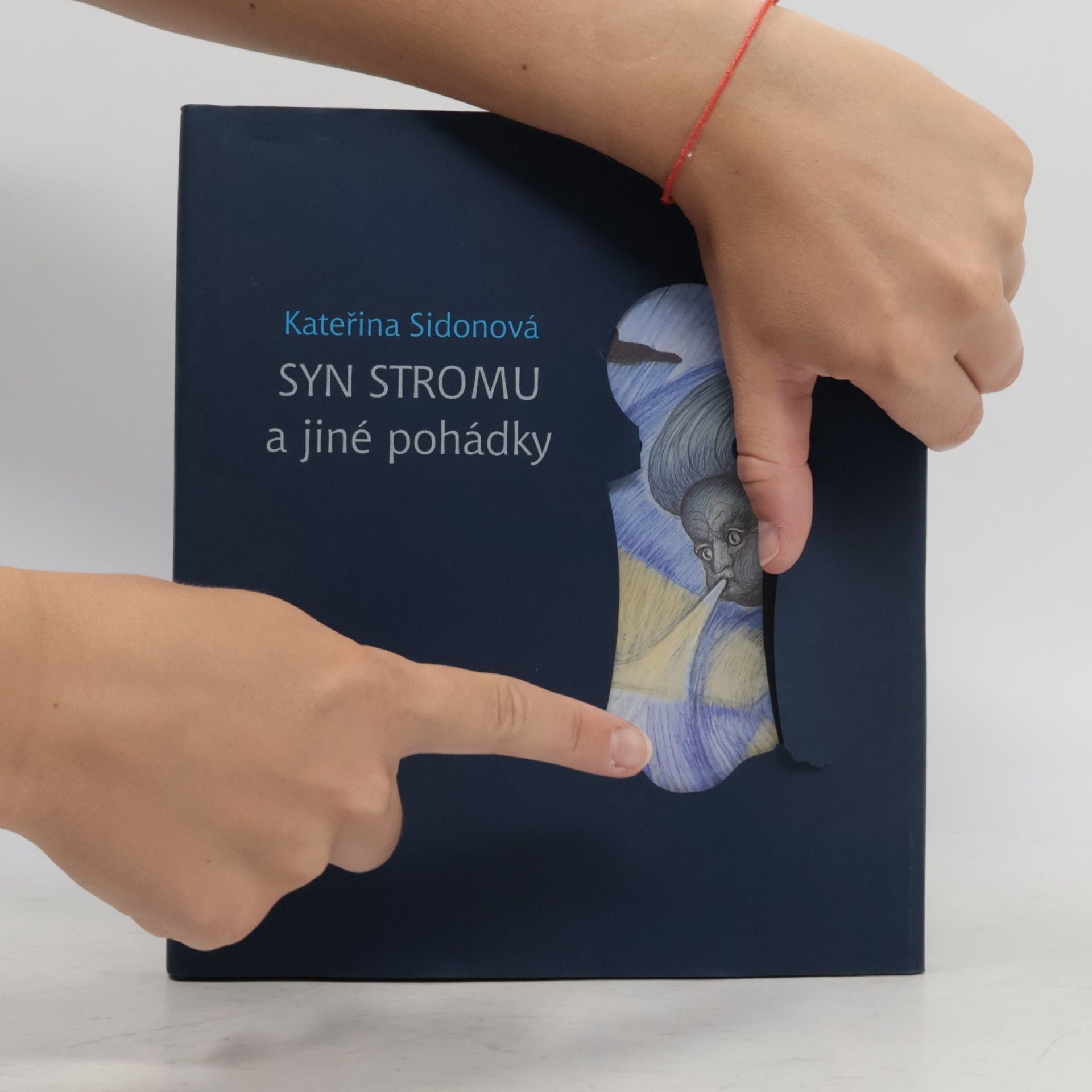Kateřina Sidonová Syn stromu a jiné pohádky