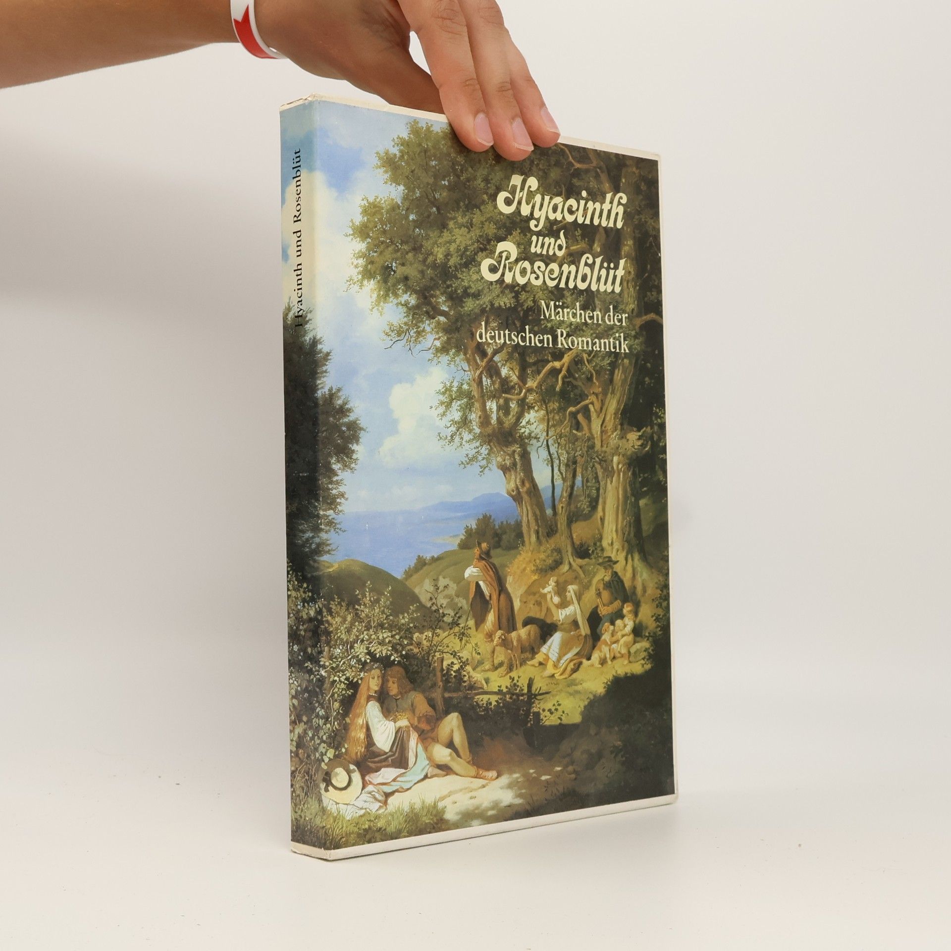Sigrid Damm Hyacinth und Rosenblüt. Märchen der deutschen Romantik