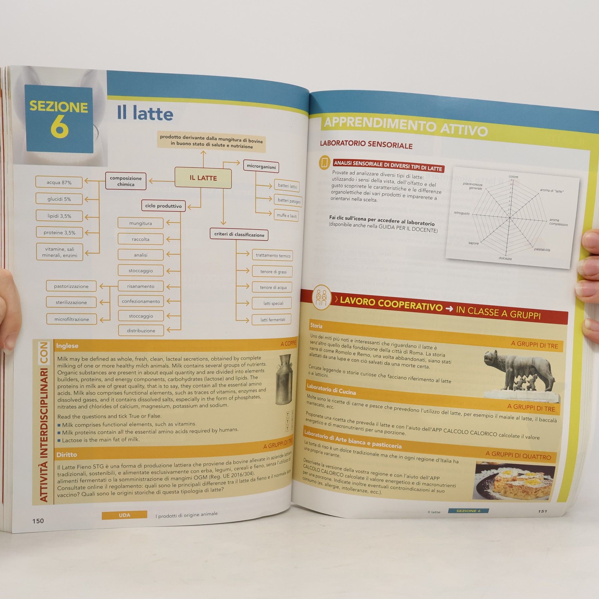 Amparo Machado Didattica Digitale Integrata Plus - 3: Scienza e cultura dell'alimentazione