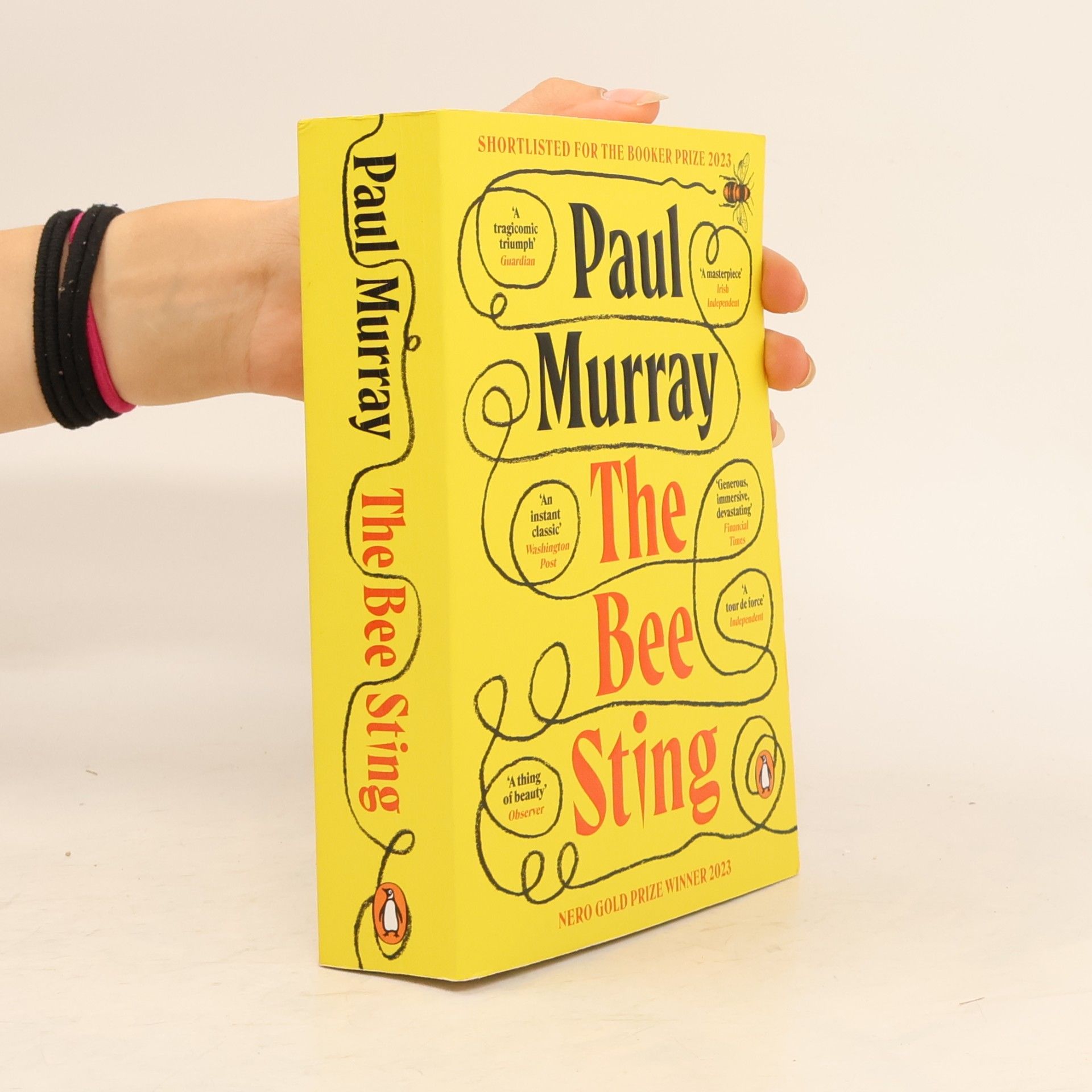 Paul Murray The Bee Sting: Shortlisted for the Booker Prize 2023