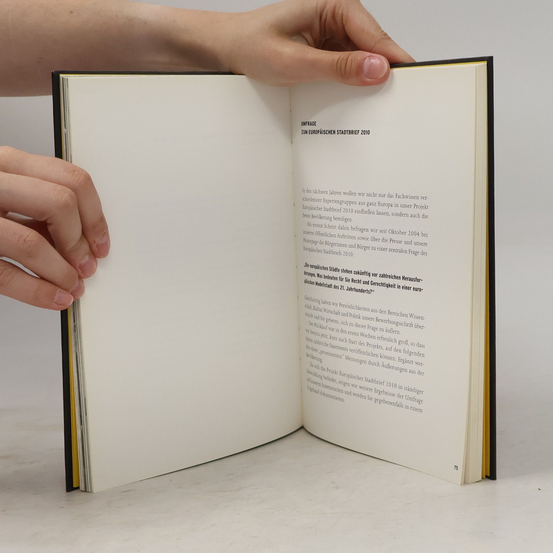 Autorenkollektiv Der Europäische Stadtbrief 2010