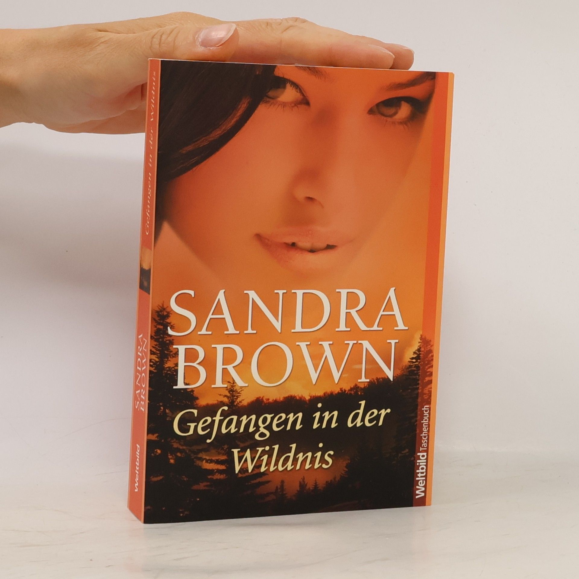 Sandra Brown Gefangen in der Wildnis