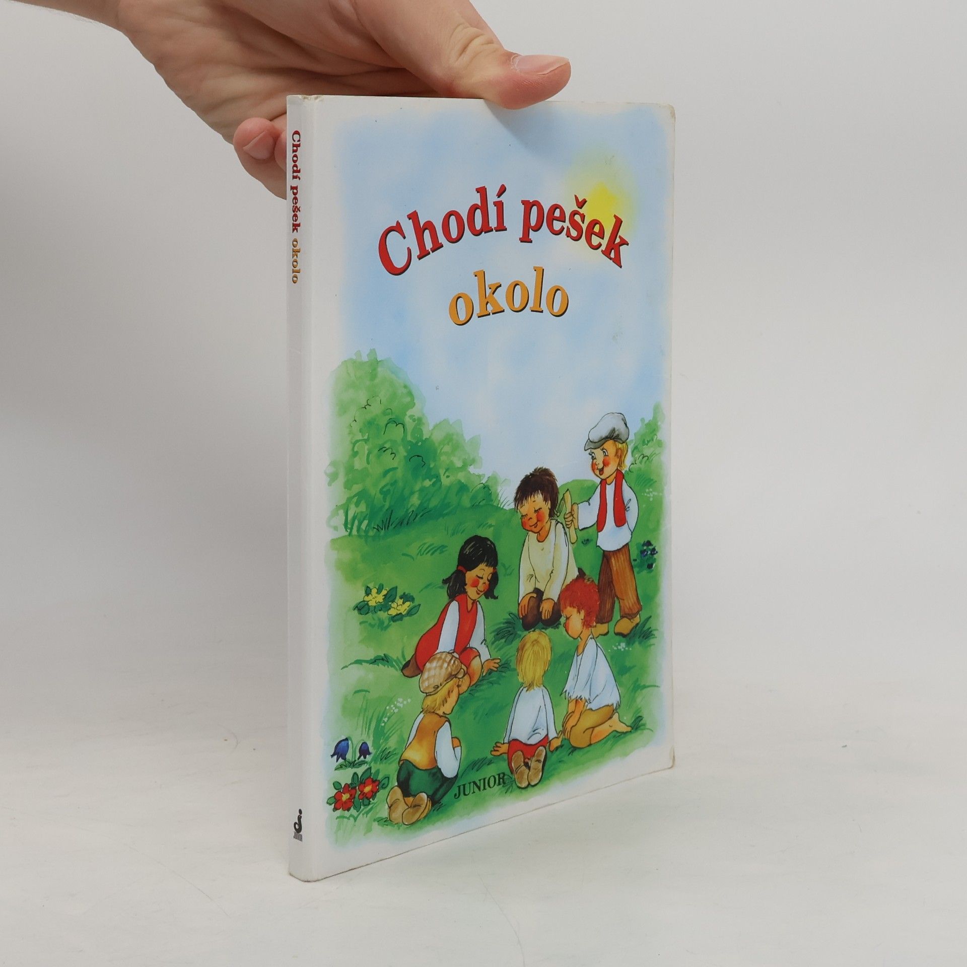 Vladimíra Vopičková Chodí pešek okolo (leporelo)