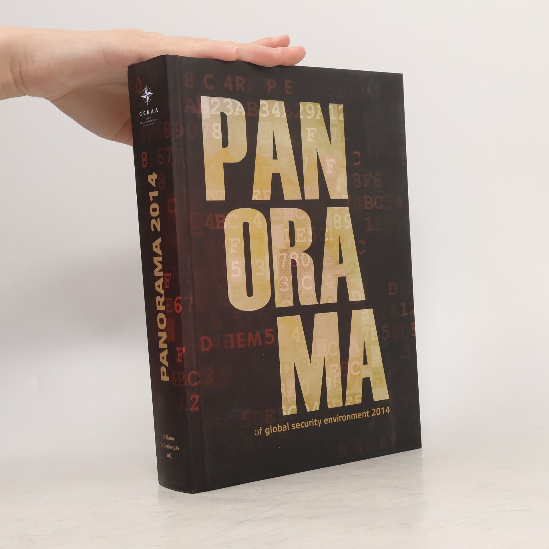 Kolektiv autorů Panorama of Global Security Environment 2014