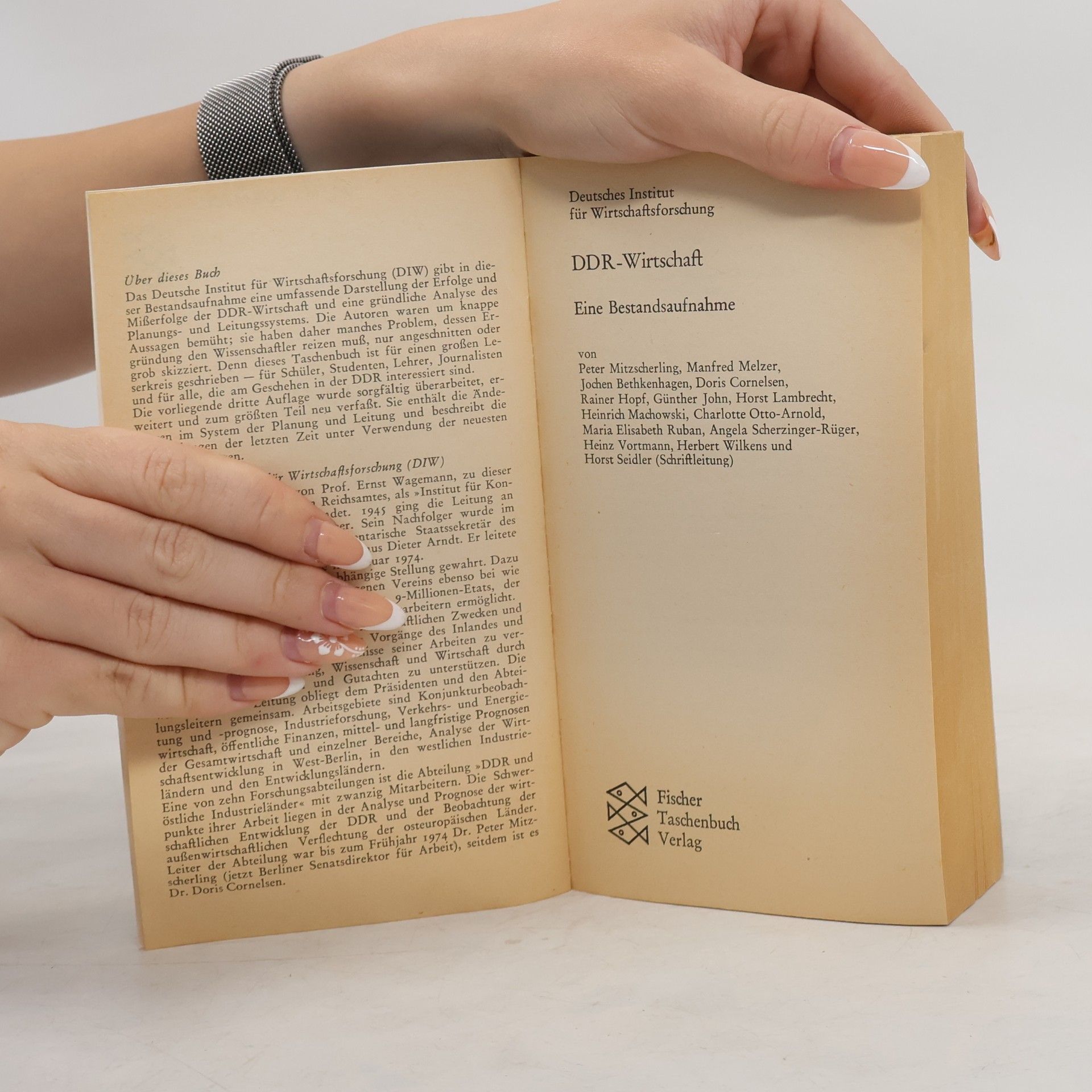 Various authors DDR-Wirtschaft