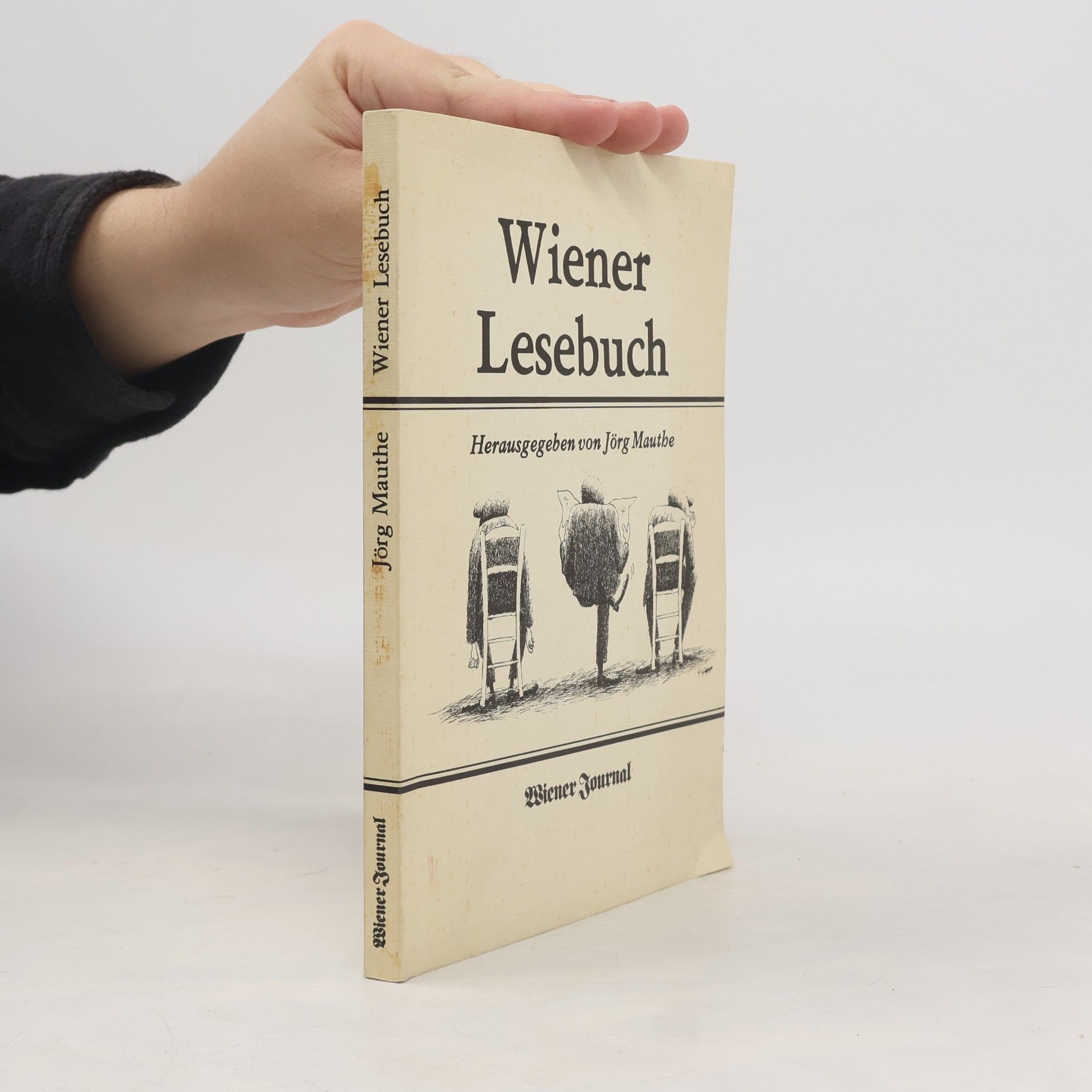 Jörg Mauthe Wiener Lesebuch