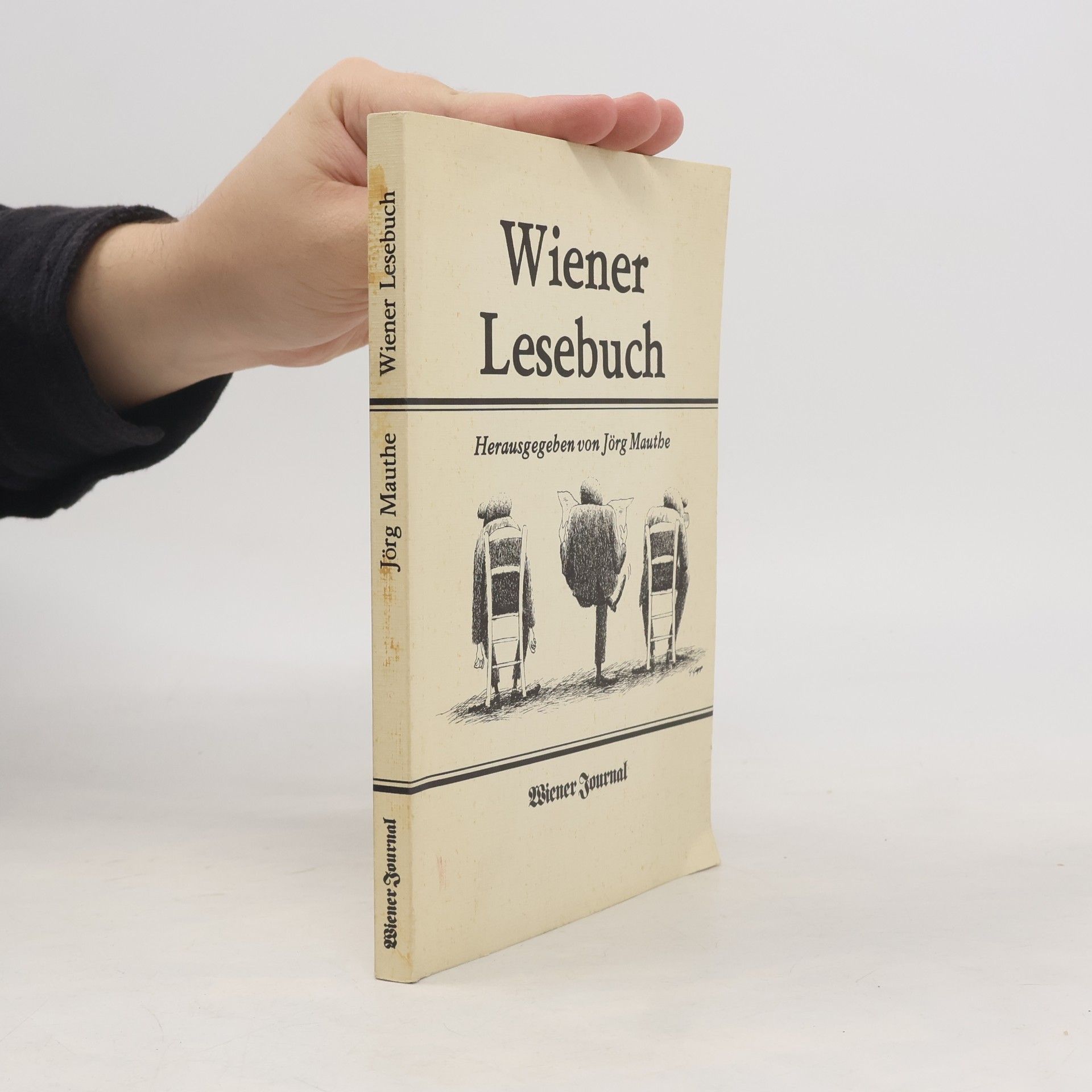 Jörg Mauthe Wiener Lesebuch