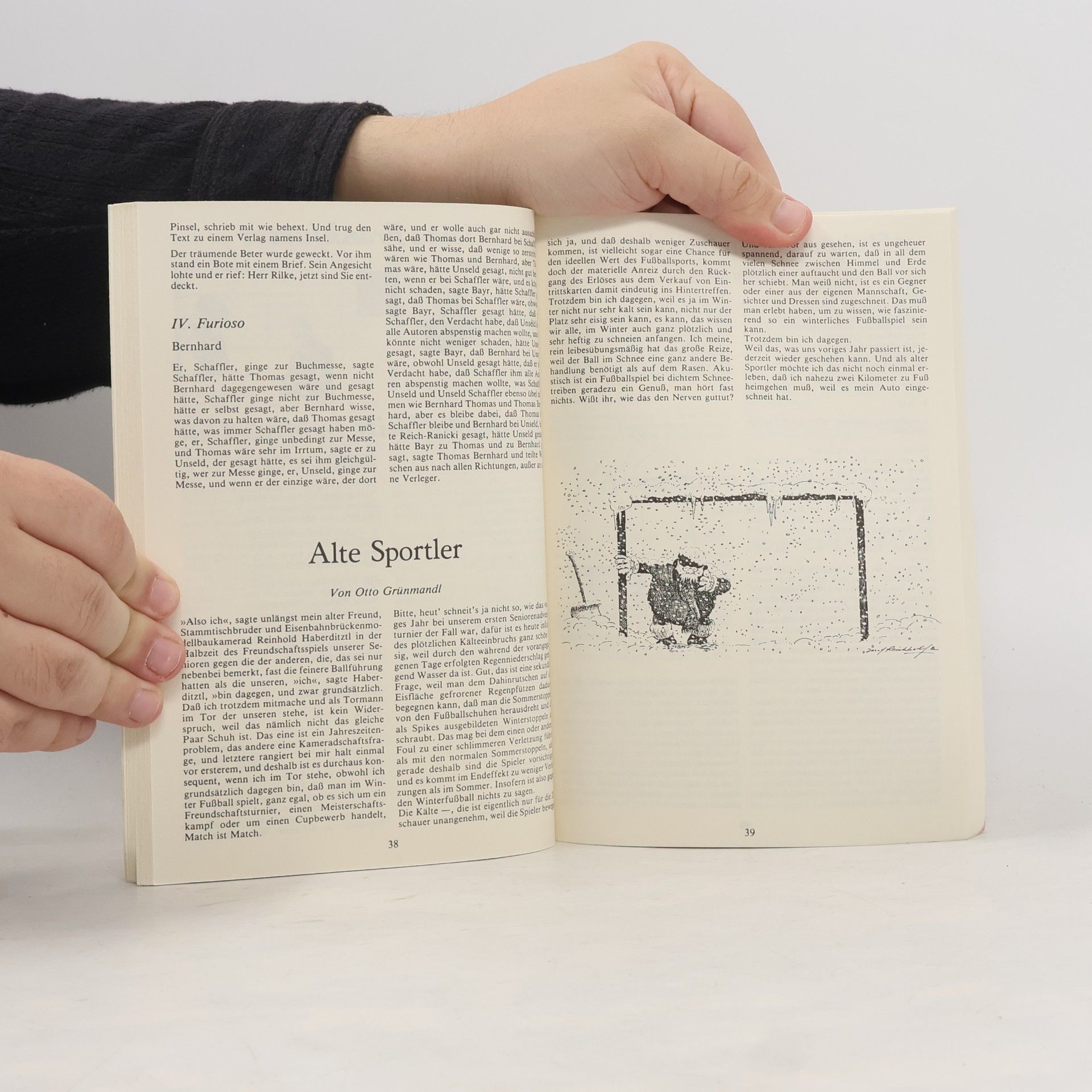 Jörg Mauthe Wiener Lesebuch