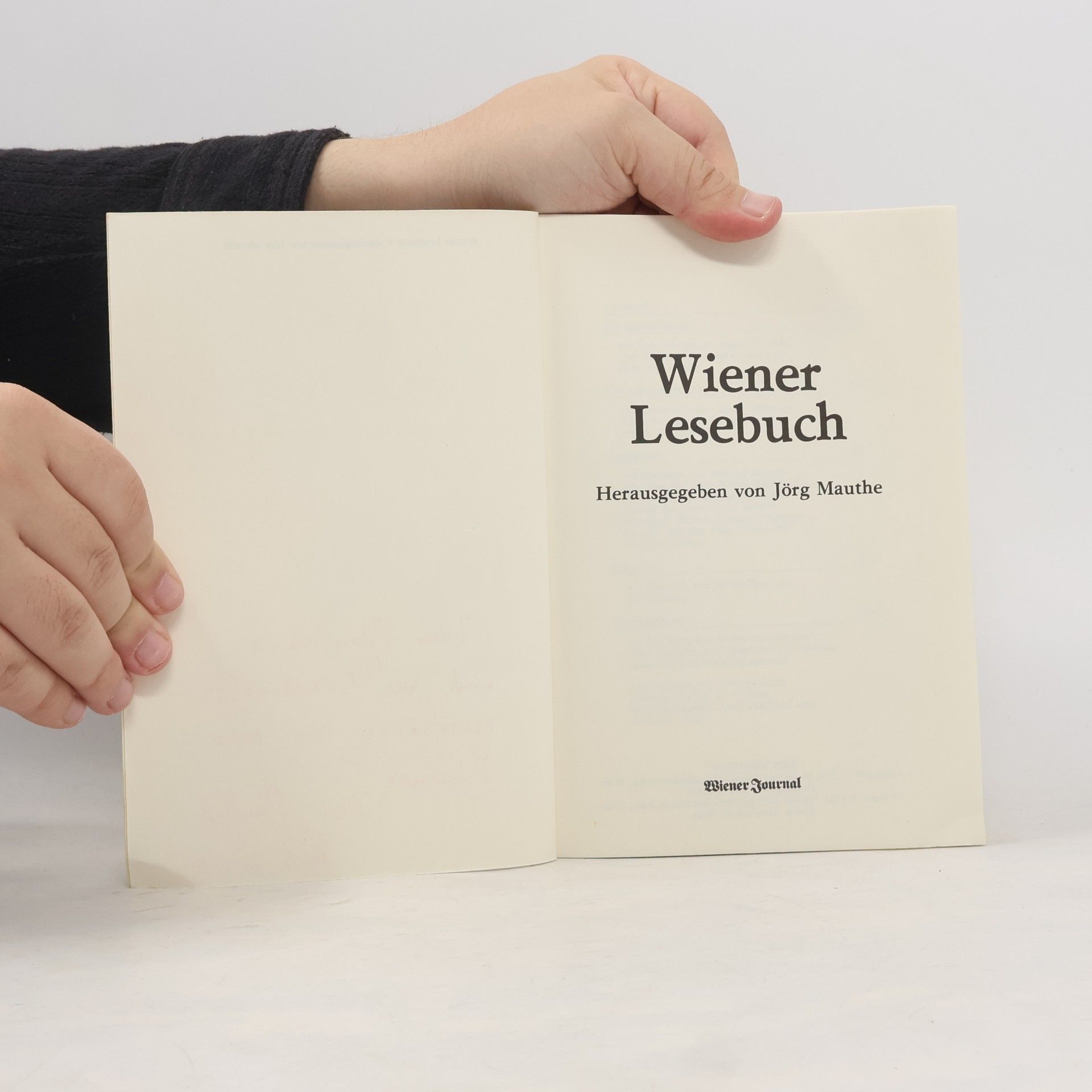Jörg Mauthe Wiener Lesebuch