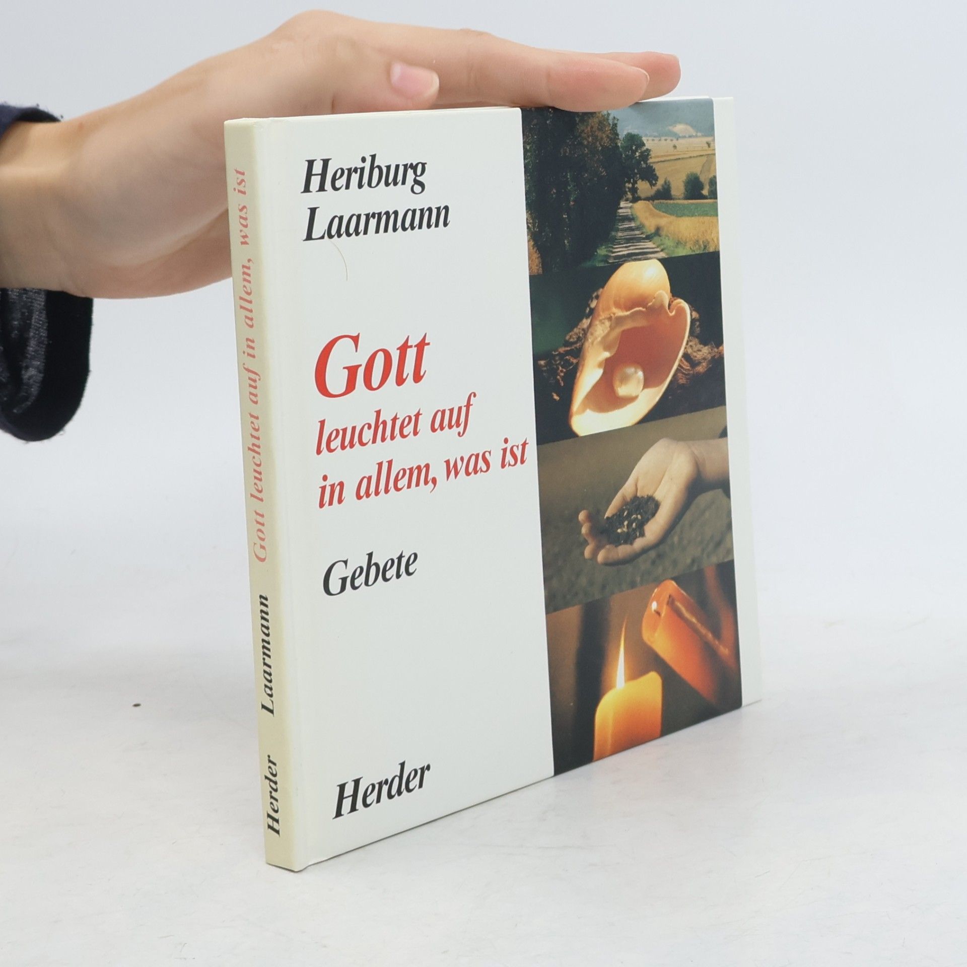 Heriburg Laarmann Gott leuchtet auf in allem, was ist
