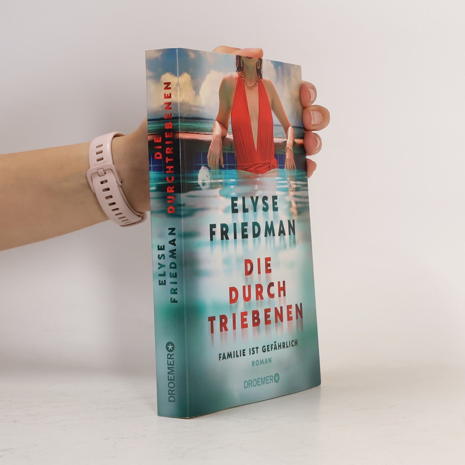Elyse Friedman Die Durchtriebenen. Familie ist gefährlich. Roman | Bitter-böser Familien-Thriller aus Kanada