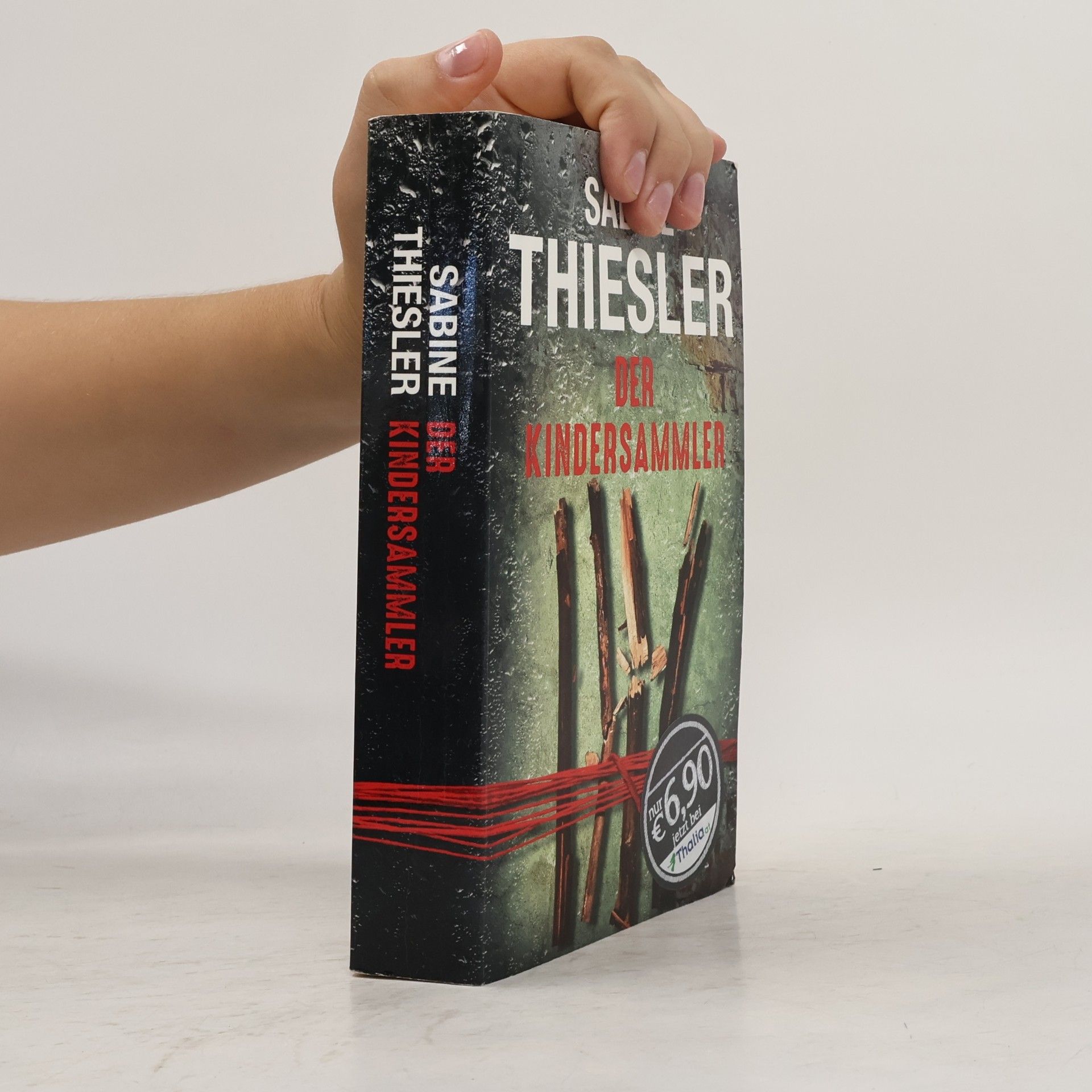 Sabine Thiesler Der Kindersammler