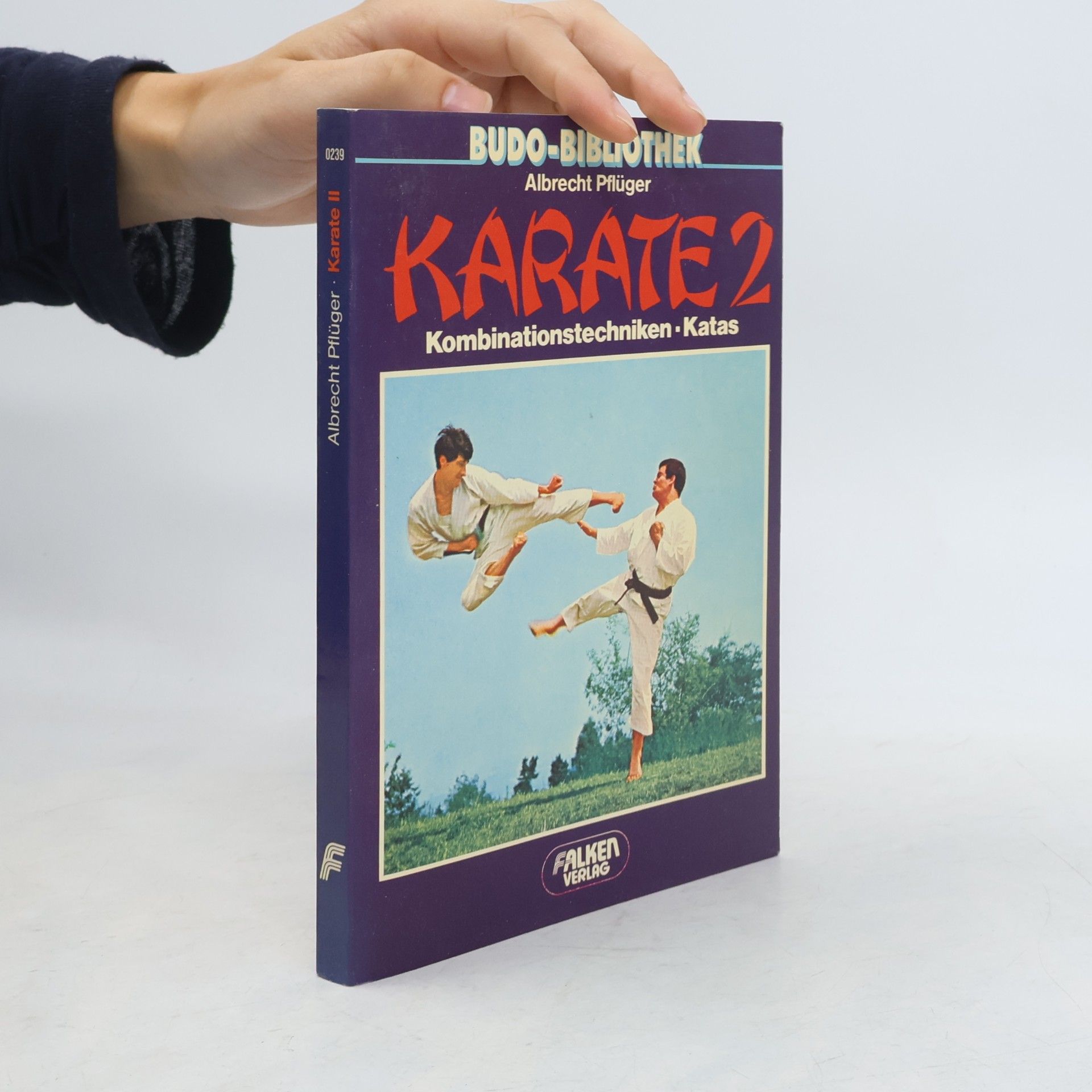 Autorenkollektiv Karate 2: Kombinationstechniken Katas