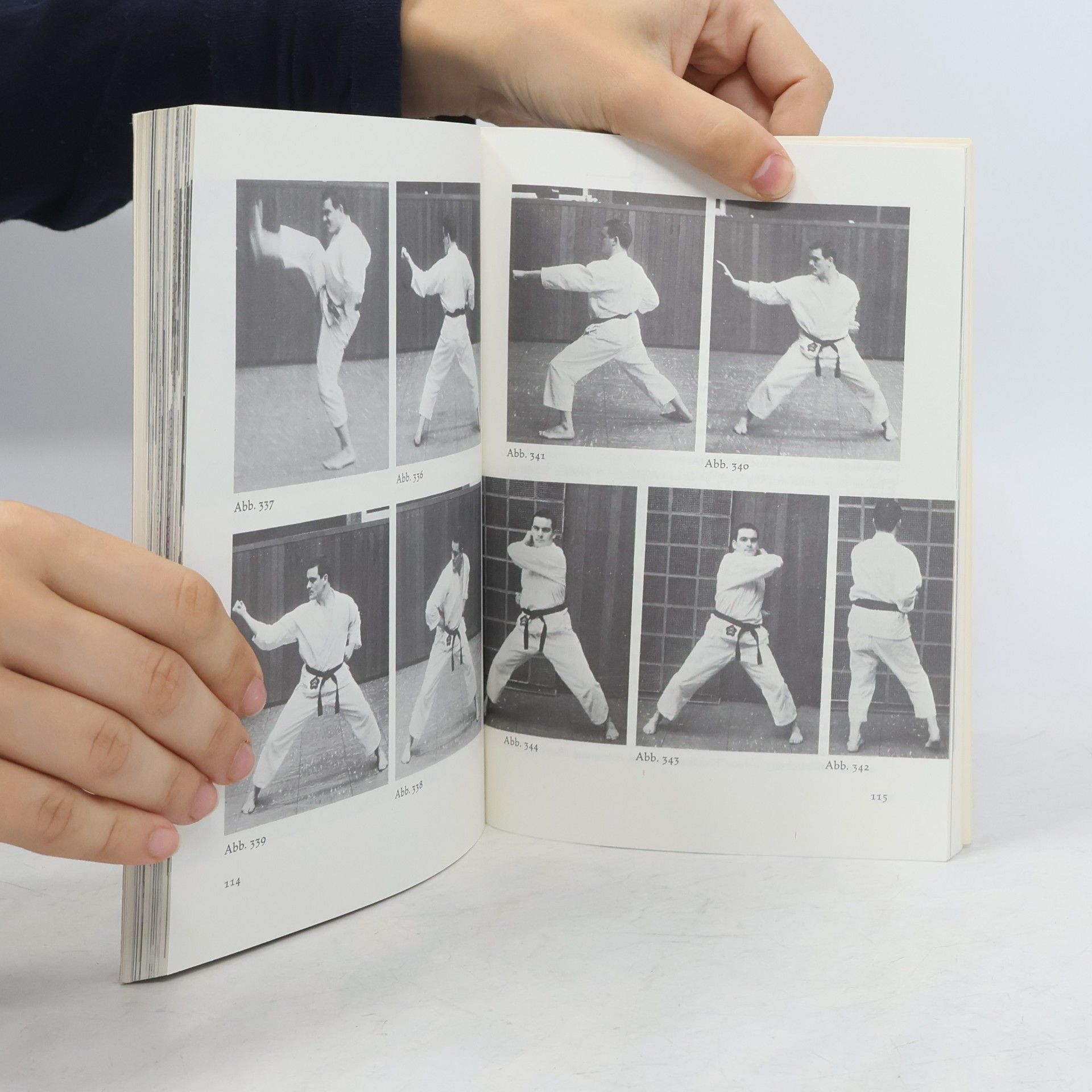 Autorenkollektiv Karate 2: Kombinationstechniken Katas