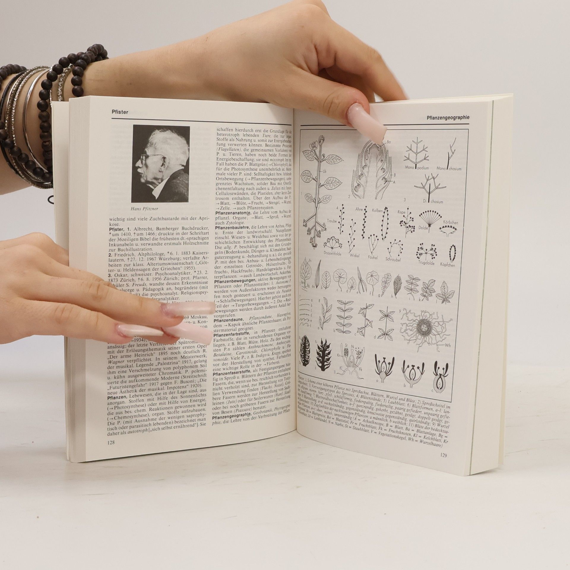 Collectif d'auteurs Das neue Taschen-Lexikon 12. P