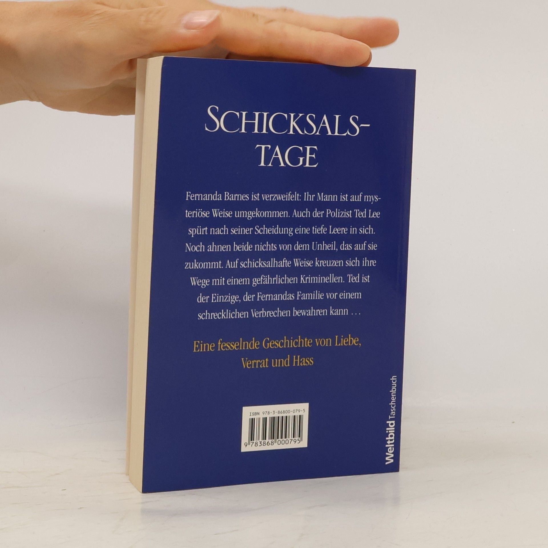 Danielle Steel Schicksalstage