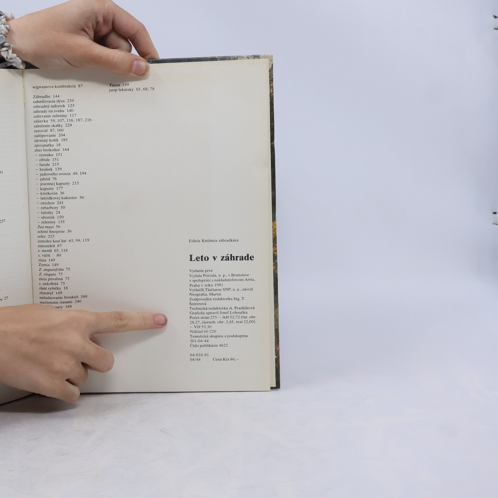 Autorenkollektiv Leto v záhrade