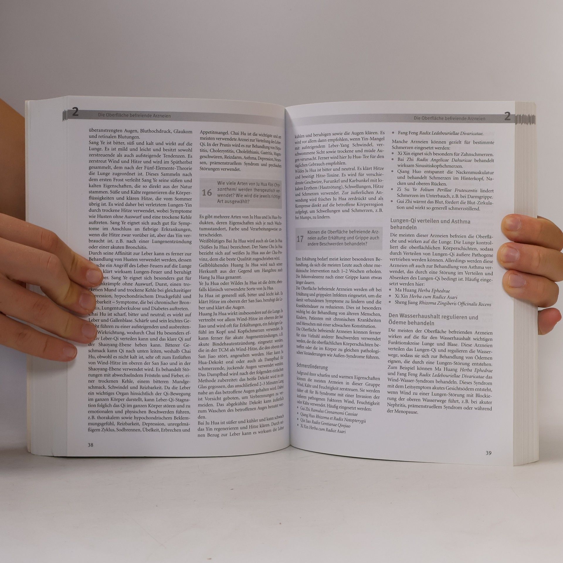 Various authors Chinesische Medizin / Chinesische Kräuter in Frage und Antwort