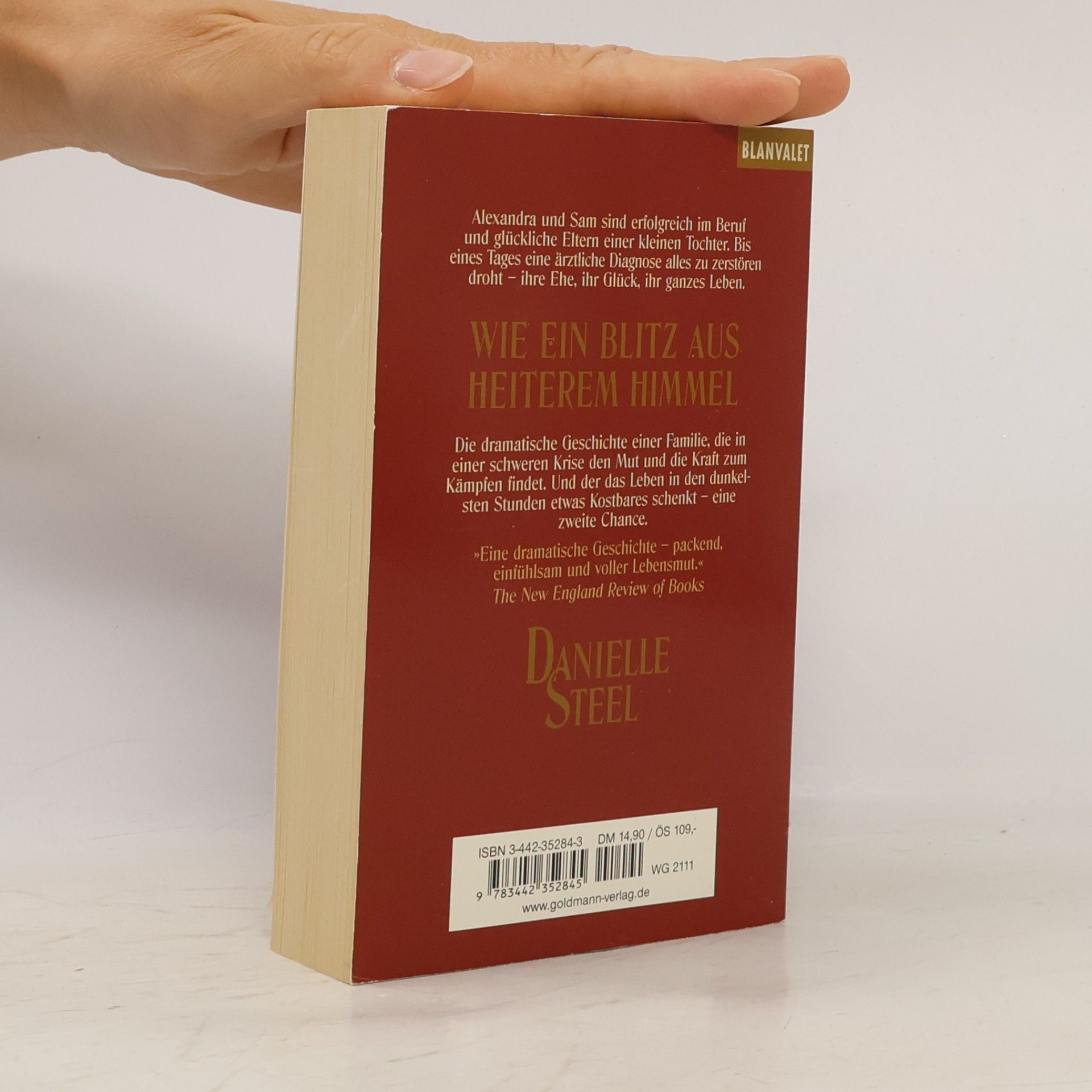 Danielle Steel Wie ein Blitz aus heiterem Himmel