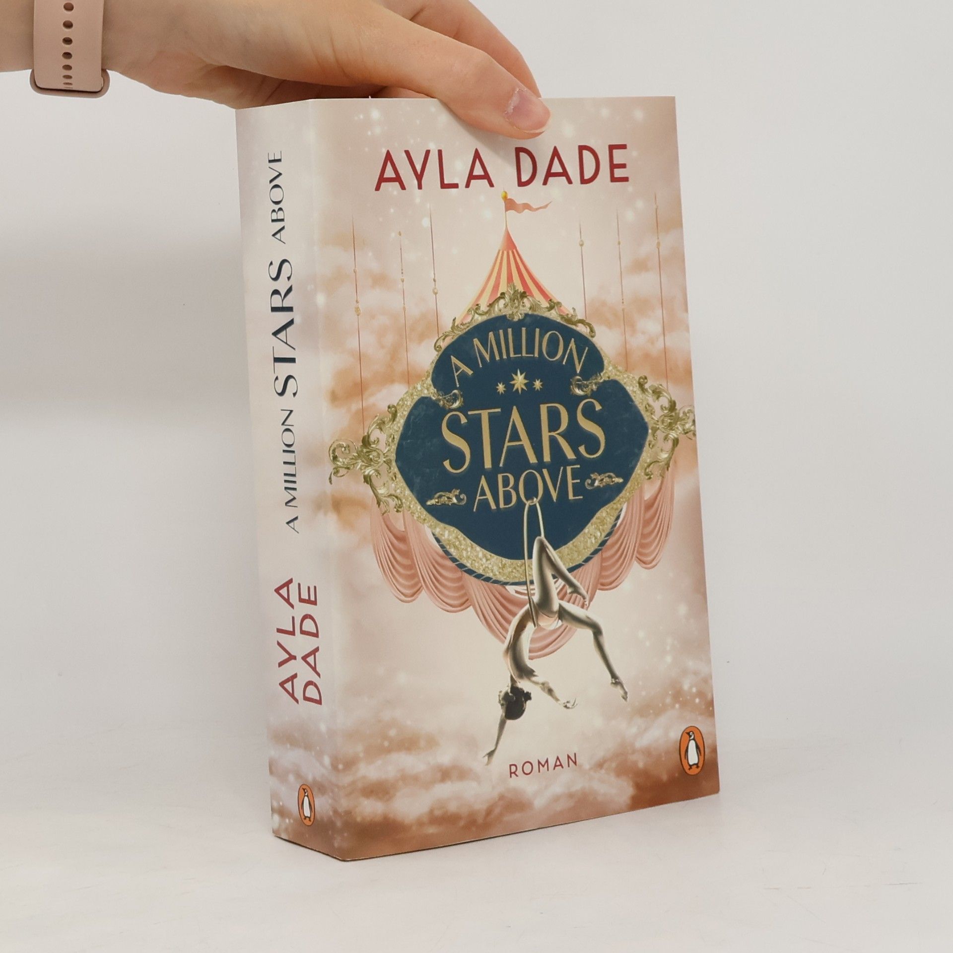Ayla Dade A Million Stars Above / Sky Circus Bd.1
