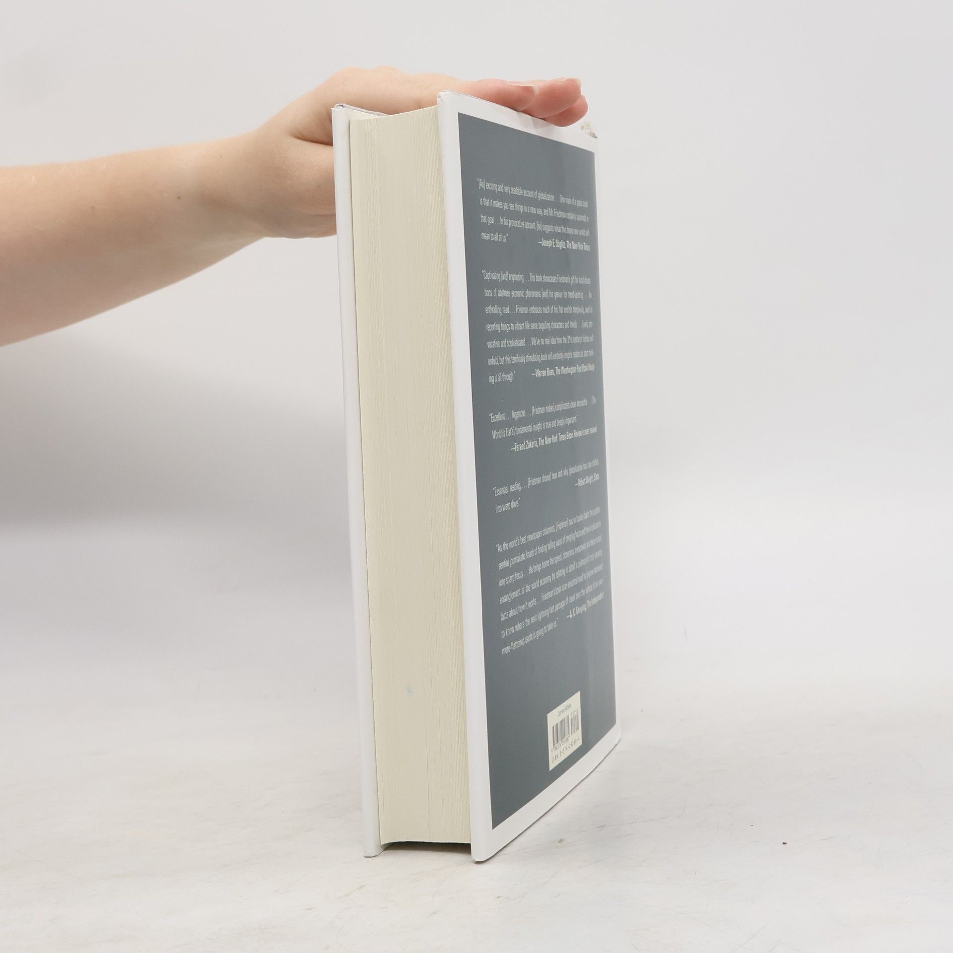 Thomas L. Friedman The world is flat : a brief history of the twenty-first century