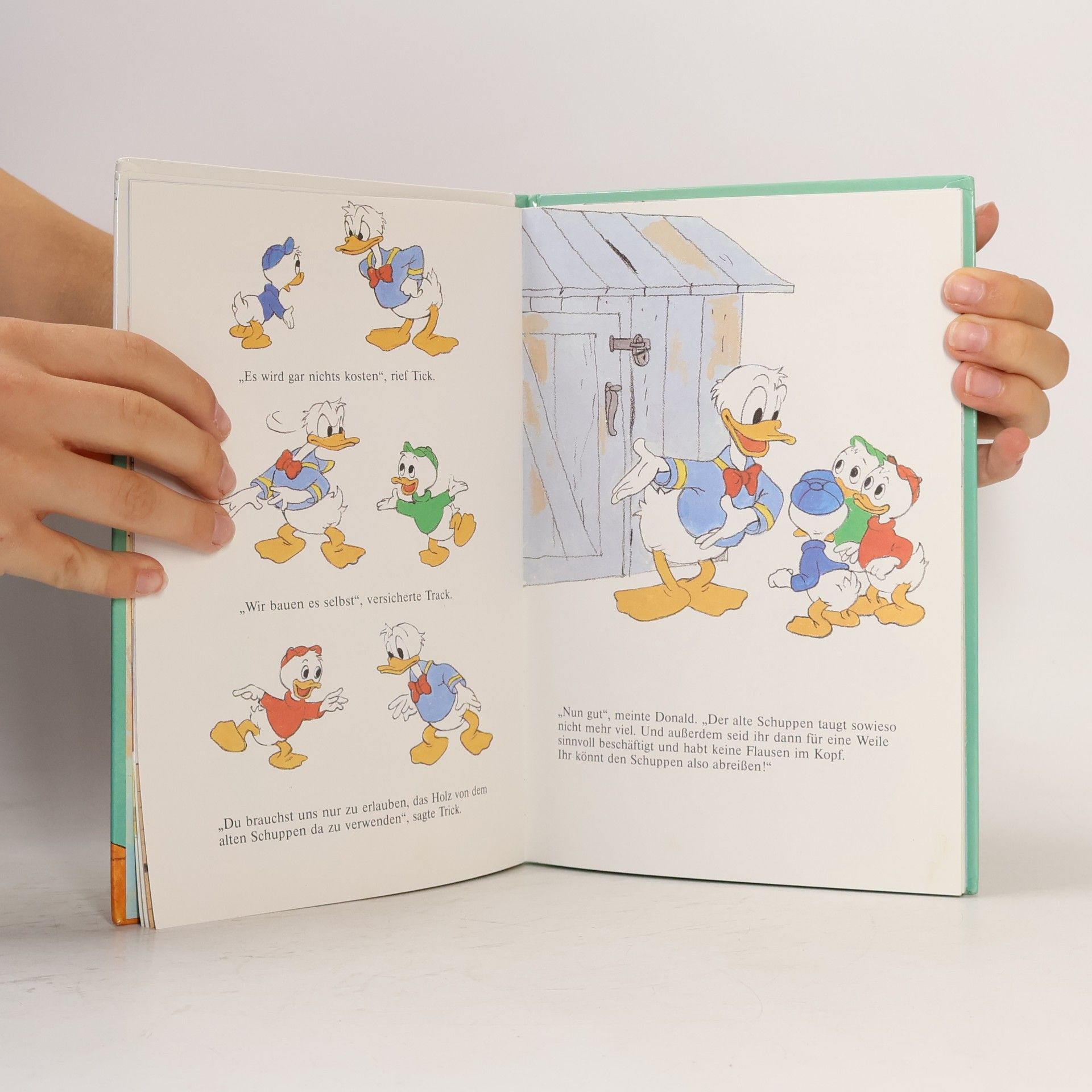 Autorenkollektiv Ahörnchen und Behörnchen kämpfen um ihr Heim