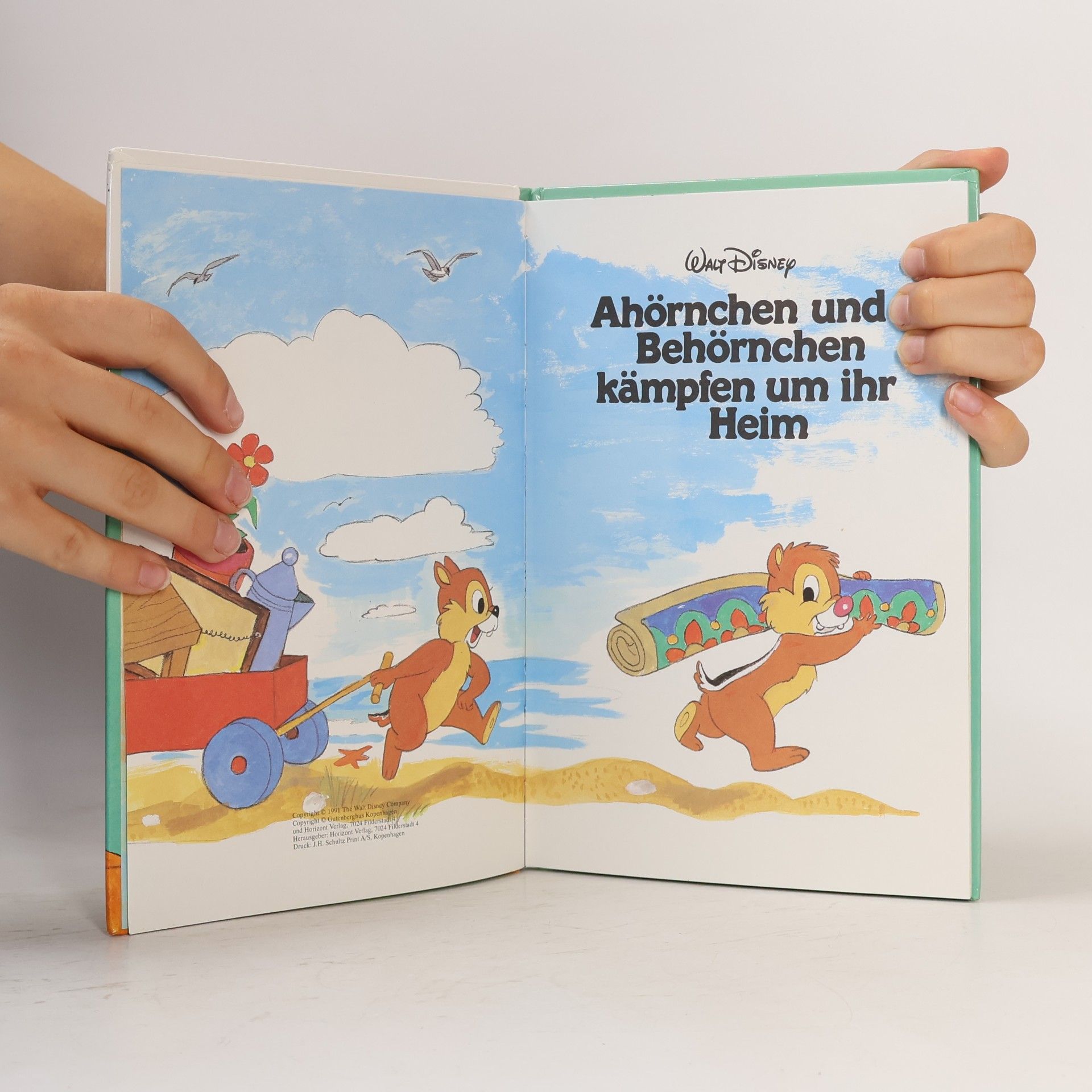 Autorenkollektiv Ahörnchen und Behörnchen kämpfen um ihr Heim