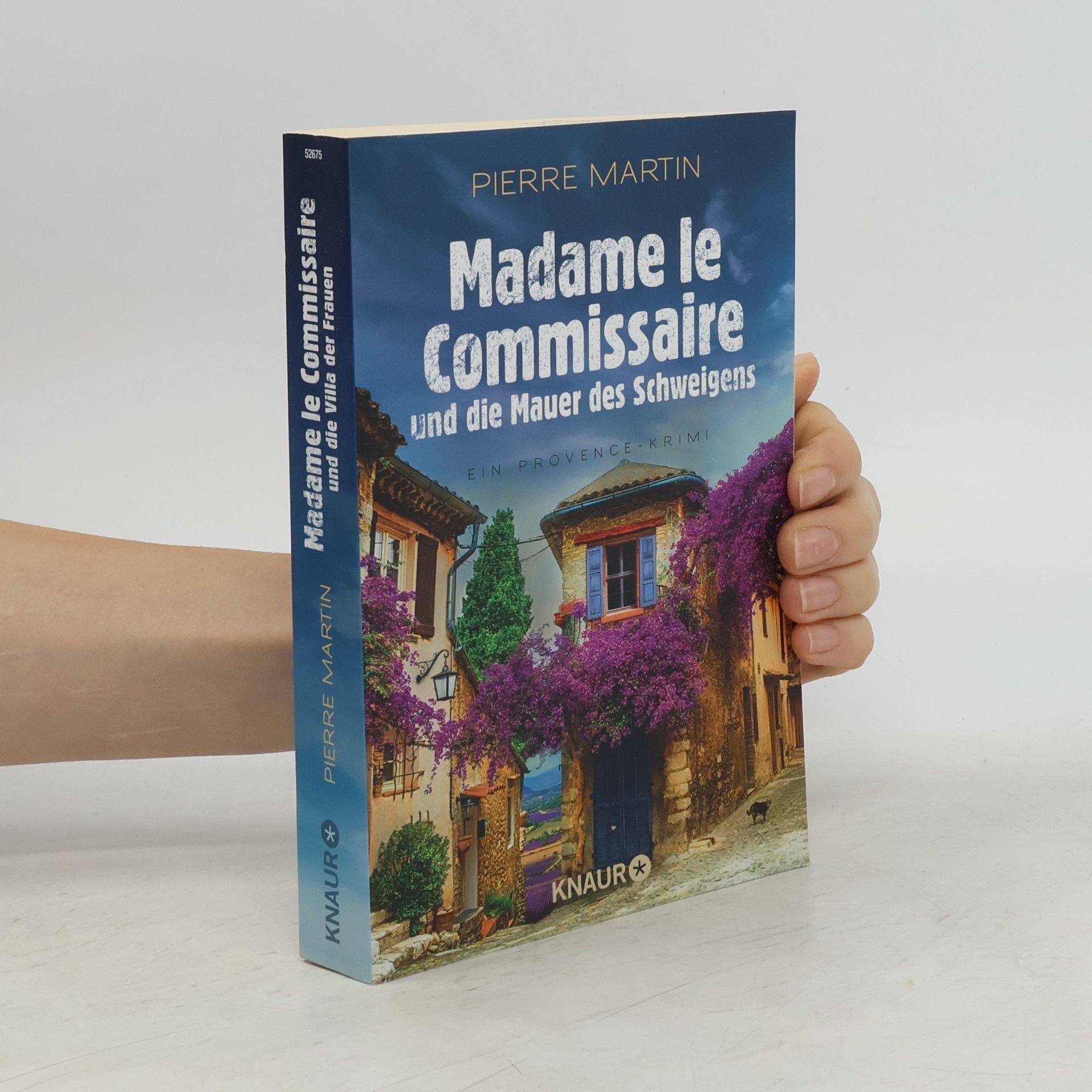 Pierre Martin Madame le Commissaire und die Mauer des Schweigens