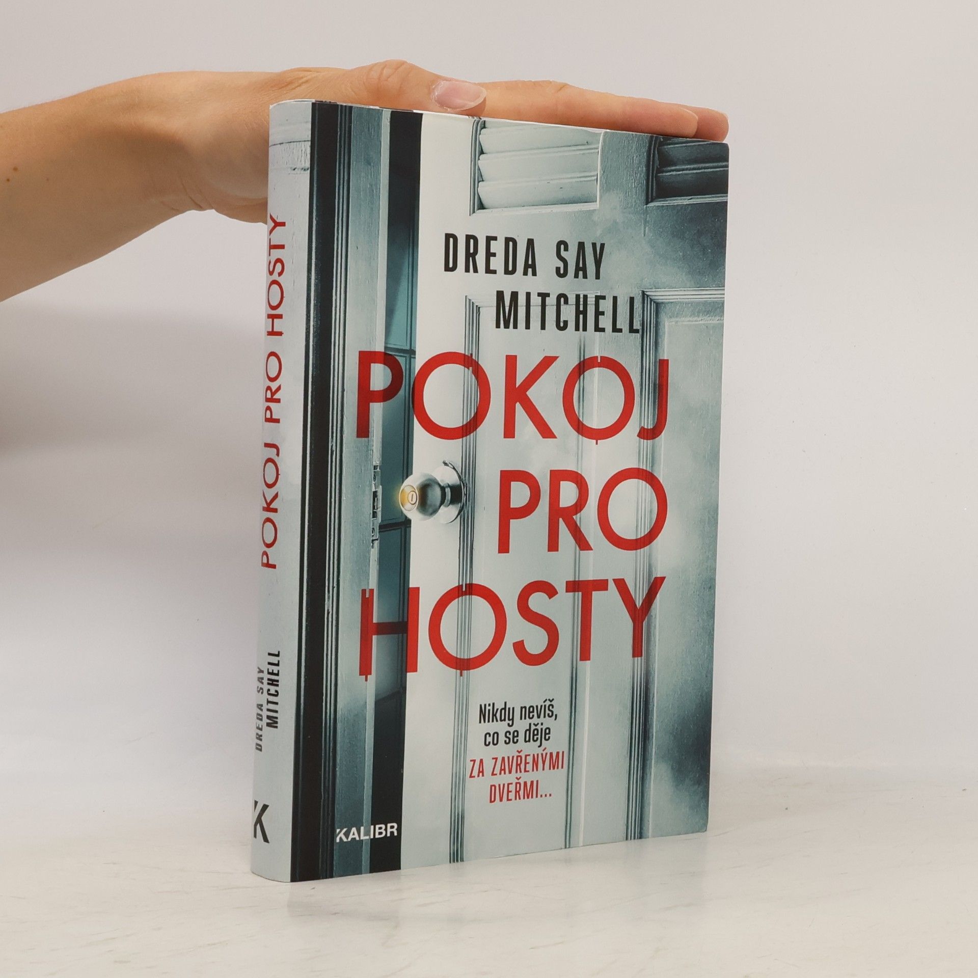 Dreda Say Mitchell Pokoj pro hosty