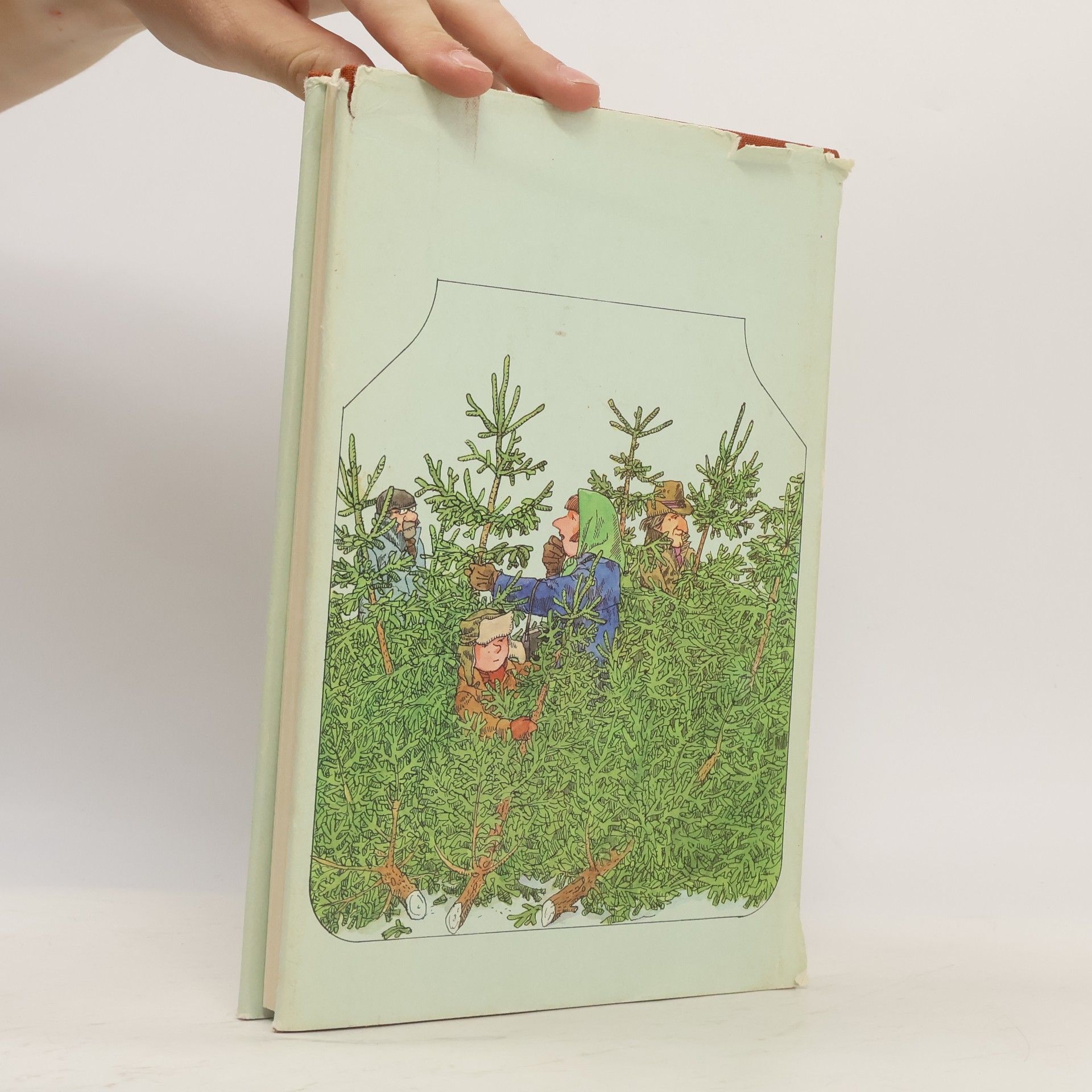Collectif d'auteurs Der leuchtende Baum