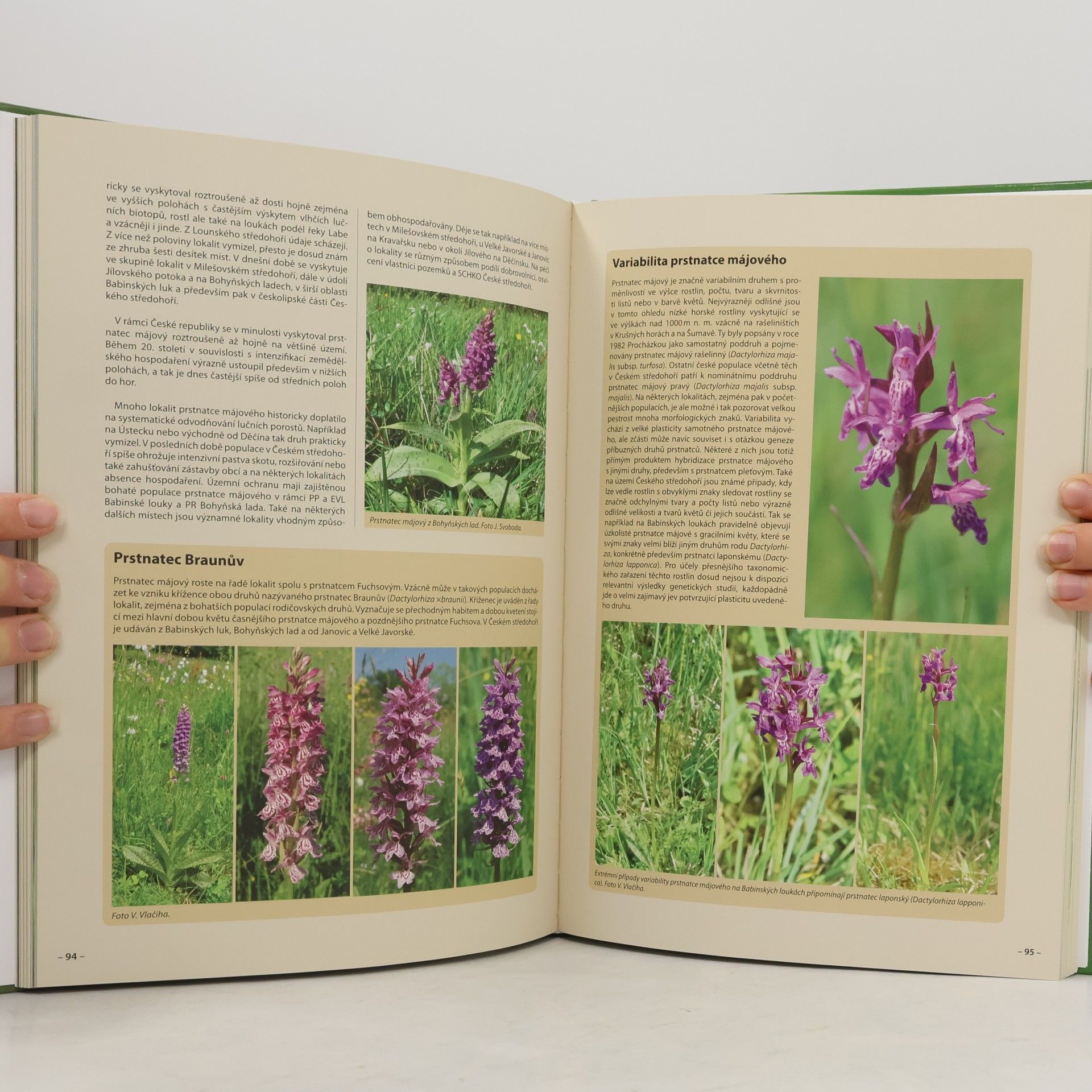 Karel Nepraš Orchideje Českého středohoří