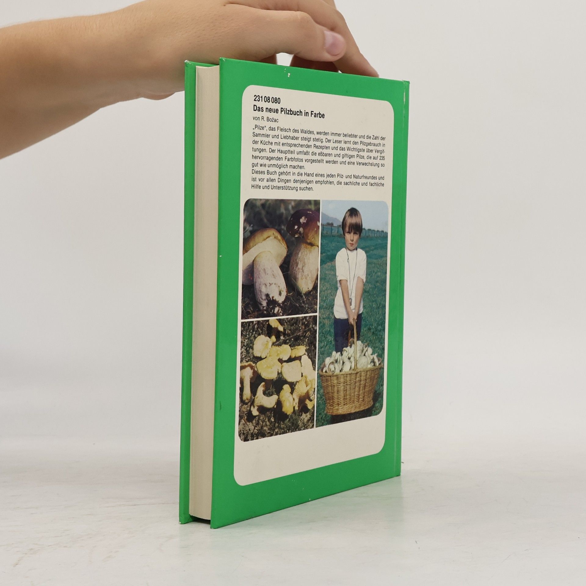 Romano Božac Das neue Pilzbuch in Farbe