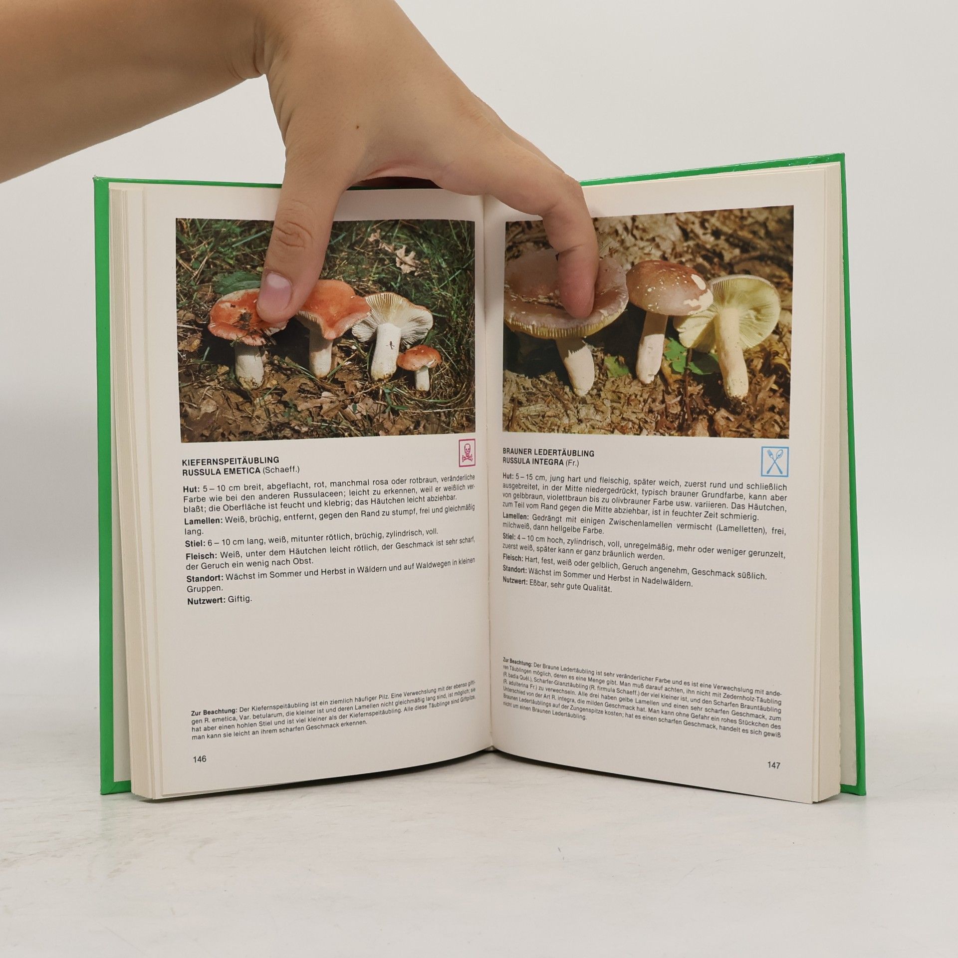 Romano Božac Das neue Pilzbuch in Farbe
