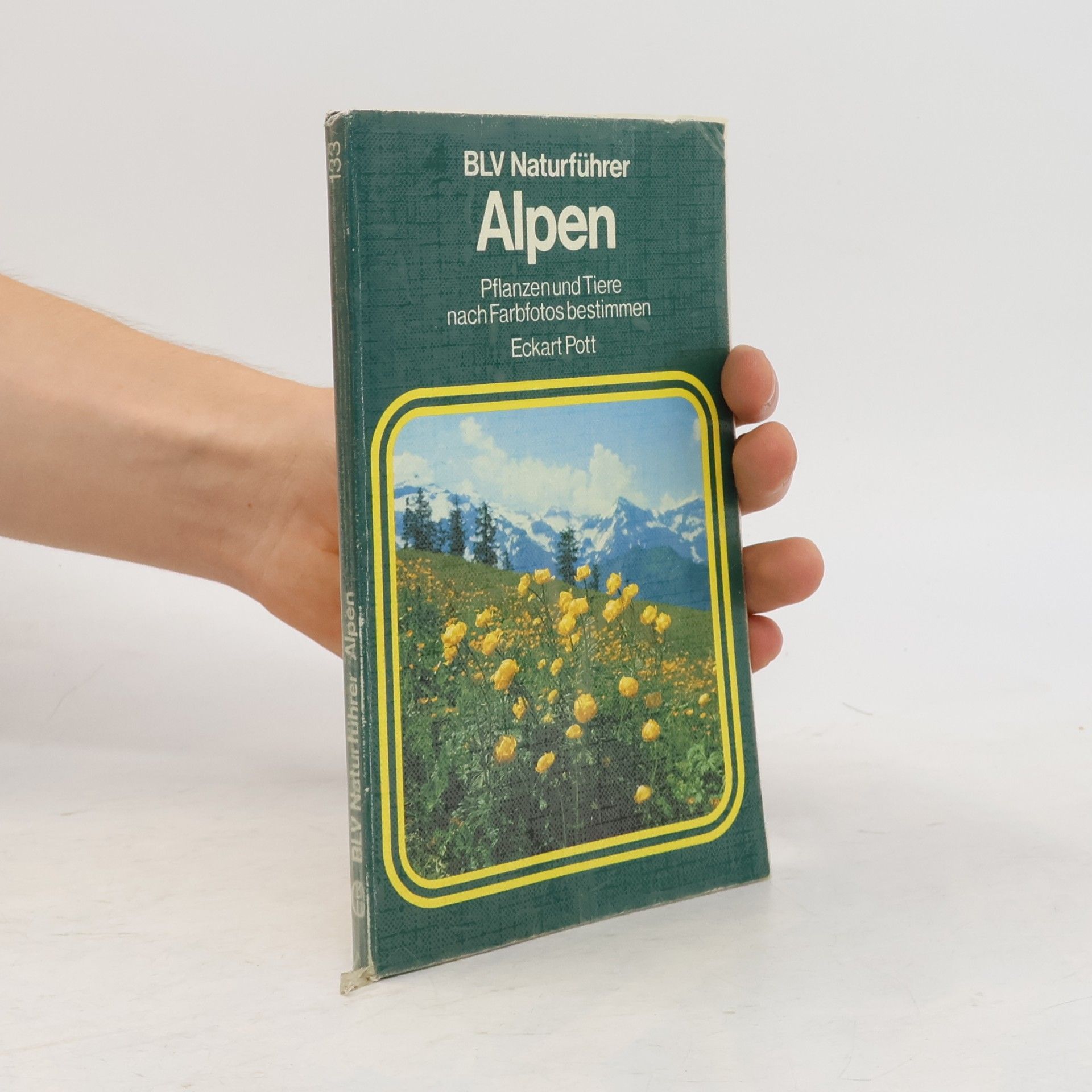 Eckart Pott Alpen