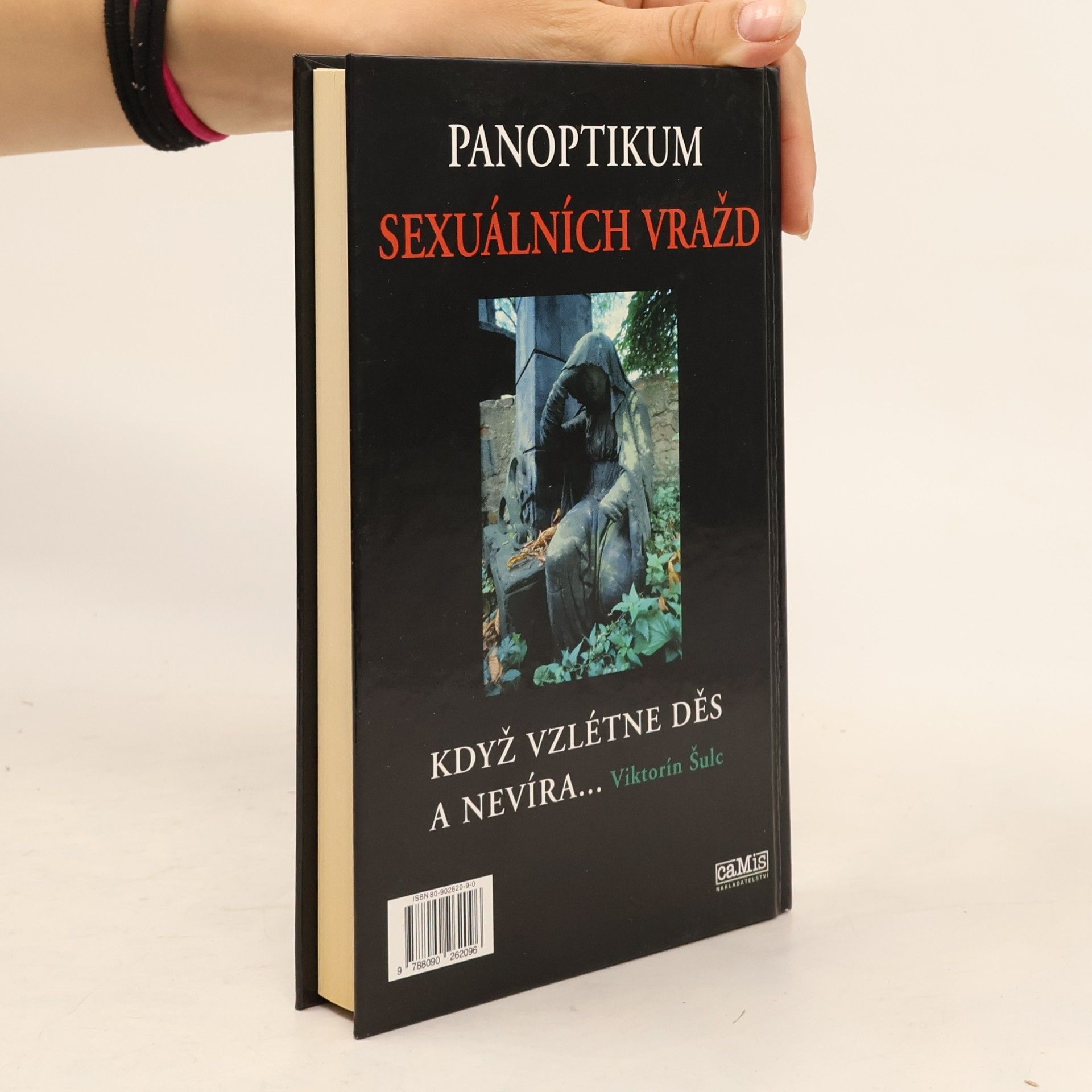 Viktorín Šulc Panoptikum sexuálních vražd. Když vzlétne děs a nevíra...?)