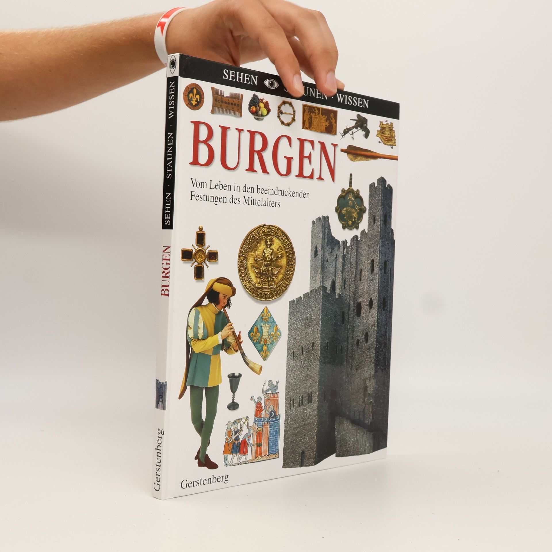 Kolektiv autorů Burgen