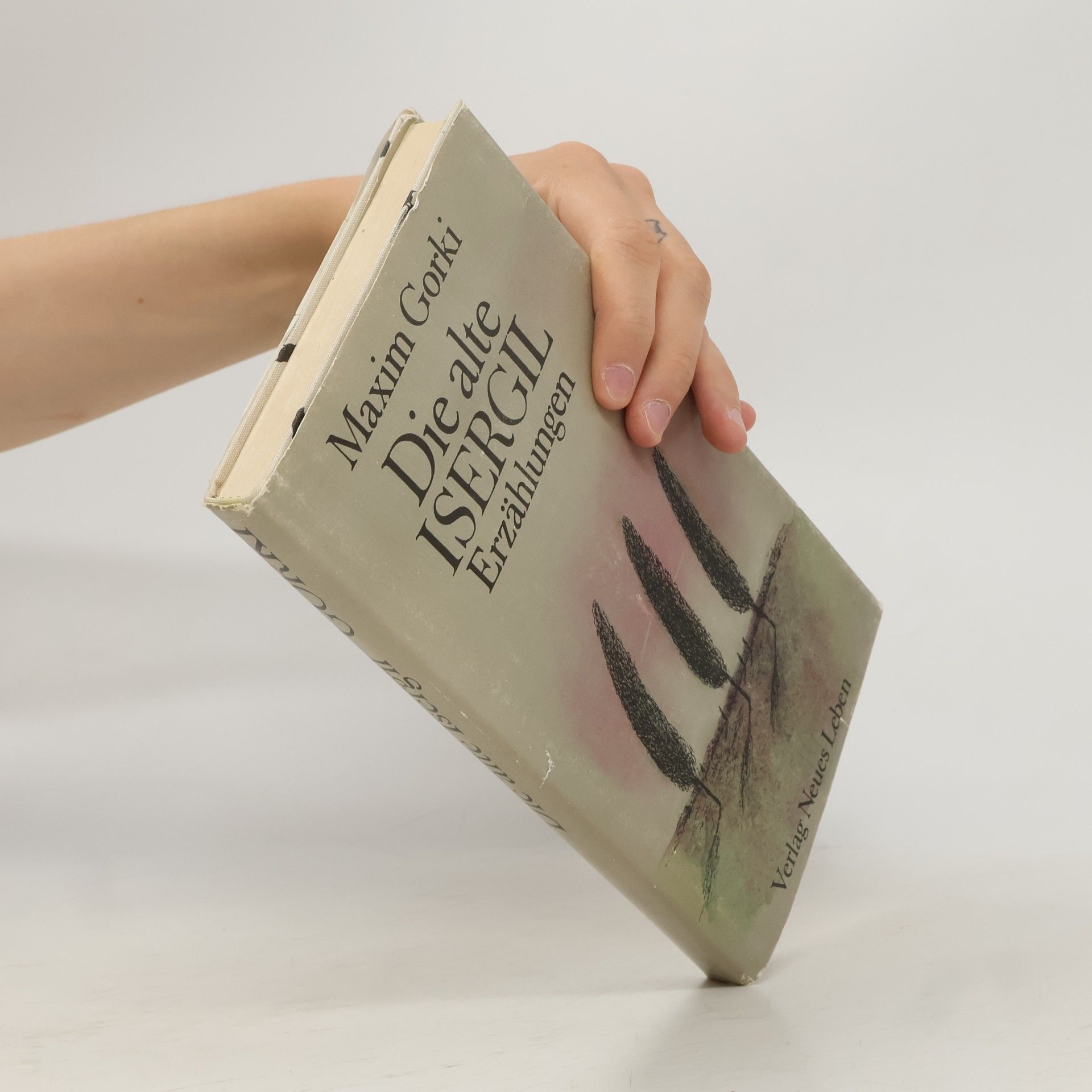 Maxim Gorkij Die alte Isergil. Erzählungen
